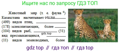 Русский язык, 6 класс Учебник, авторы: Сабитова Зинаида Какбаевна, Бейсембаев Амангельды Ракишевич, издательство Мектеп, Алматы, 2018, Часть 2, страница 84, номер 404В, Условие (продолжение 2)
