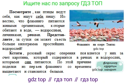 Русский язык, 6 класс Учебник, авторы: Сабитова Зинаида Какбаевна, Бейсембаев Амангельды Ракишевич, издательство Мектеп, Алматы, 2018, Часть 2, страница 85, номер 407В, Условие (продолжение 3)