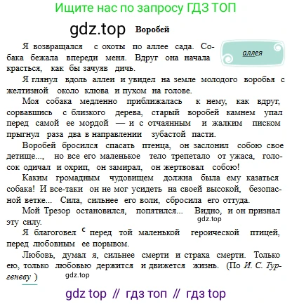 Русский язык, 6 класс Учебник, авторы: Сабитова Зинаида Какбаевна, Бейсембаев Амангельды Ракишевич, издательство Мектеп, Алматы, 2018, Часть 2, страница 90, номер 416В, Условие (продолжение 2)
