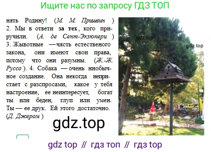 Русский язык, 6 класс Учебник, авторы: Сабитова Зинаида Какбаевна, Бейсембаев Амангельды Ракишевич, издательство Мектеп, Алматы, 2018, Часть 2, страница 96, номер 424В, Условие (продолжение 3)