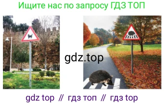 Русский язык, 6 класс Учебник, авторы: Сабитова Зинаида Какбаевна, Бейсембаев Амангельды Ракишевич, издательство Мектеп, Алматы, 2018, Часть 2, страница 98, номер 427В, Условие (продолжение 2)