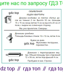 Русский язык, 6 класс Учебник, авторы: Сабитова Зинаида Какбаевна, Бейсембаев Амангельды Ракишевич, издательство Мектеп, Алматы, 2018, Часть 2, страница 99, номер 429В, Условие (продолжение 2)