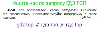 Русский язык, 6 класс Учебник, авторы: Сабитова Зинаида Какбаевна, Бейсембаев Амангельды Ракишевич, издательство Мектеп, Алматы, 2018, Часть 2, страница 116, номер 455В, Условие