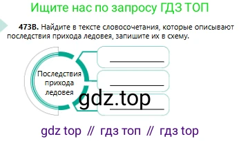 Русский язык, 6 класс Учебник, авторы: Сабитова Зинаида Какбаевна, Бейсембаев Амангельды Ракишевич, издательство Мектеп, Алматы, 2018, Часть 2, страница 127, номер 473В, Условие