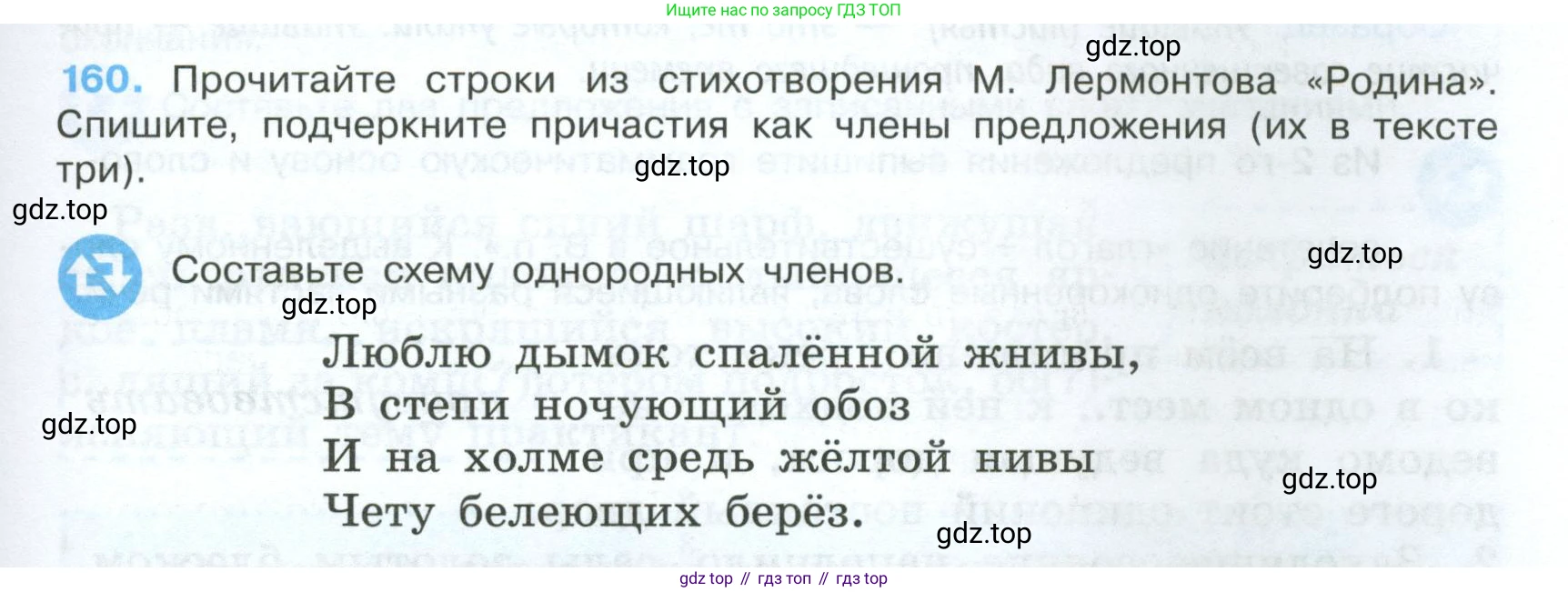 Русский язык, 7 класс Учебник, авторы: Баранов Михаил Трофимович, Ладыженская Таиса Алексеевна, Тростенцова Лидия Александровна, Ладыженская Наталия Вениаминовна, Александрова Ольга Макаровна, Дейкина Алевтина Дмитриевна, Антонова Любовь Геннадиевна, Григорян Лариса Трофимовна, Кулибаба Иван Иванович, издательство Просвещение, Москва, 2023, зелёного цвета, Часть 1, страница 91, номер 160, Условие 2024-2027