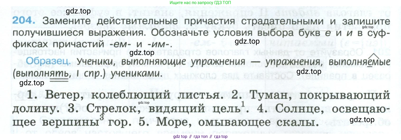 Русский язык, 7 класс Учебник, авторы: Баранов Михаил Трофимович, Ладыженская Таиса Алексеевна, Тростенцова Лидия Александровна, Ладыженская Наталия Вениаминовна, Александрова Ольга Макаровна, Дейкина Алевтина Дмитриевна, Антонова Любовь Геннадиевна, Григорян Лариса Трофимовна, Кулибаба Иван Иванович, издательство Просвещение, Москва, 2023, зелёного цвета, Часть 1, страница 118, номер 204, Условие 2024-2027