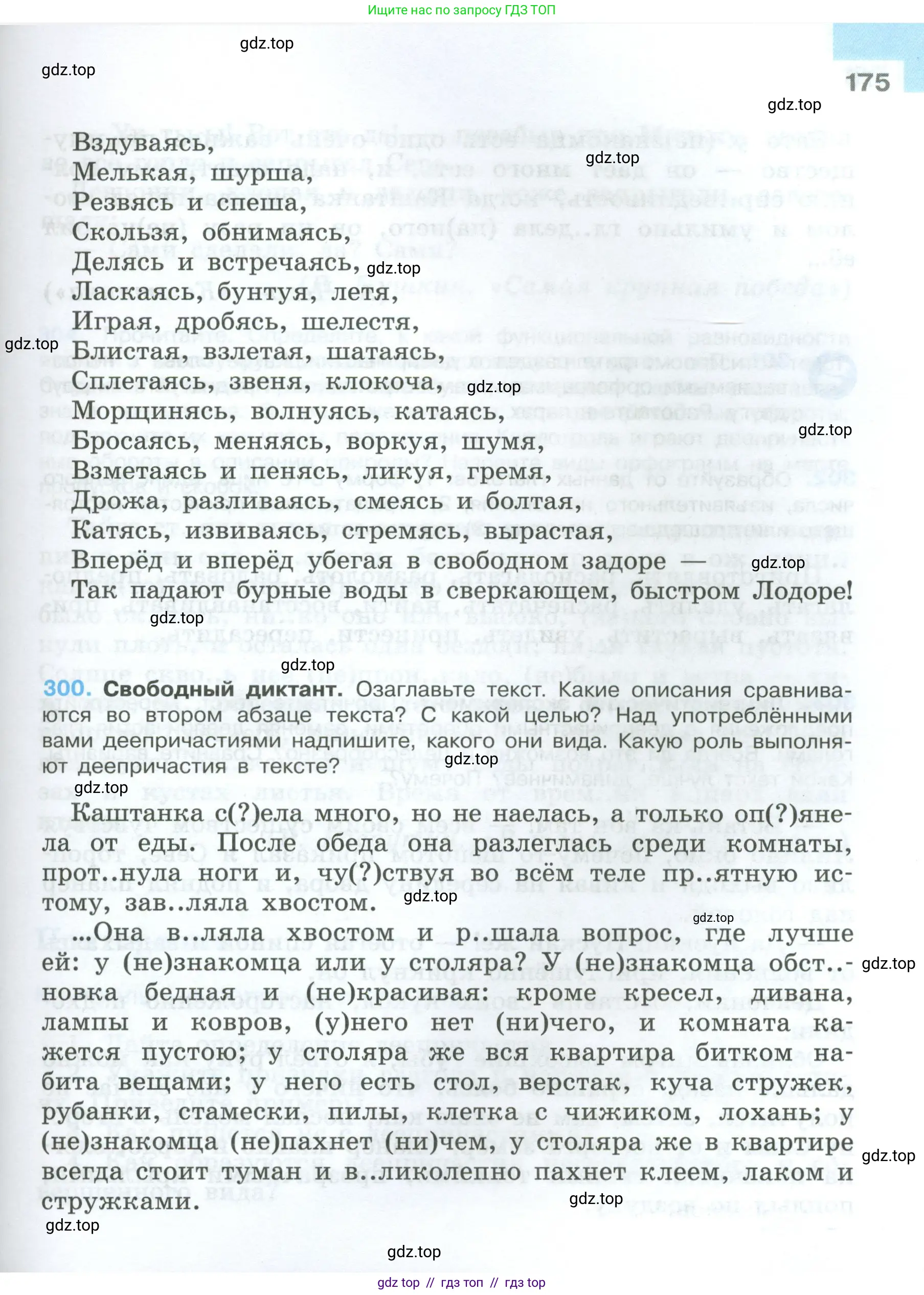 Условие 2024-2027