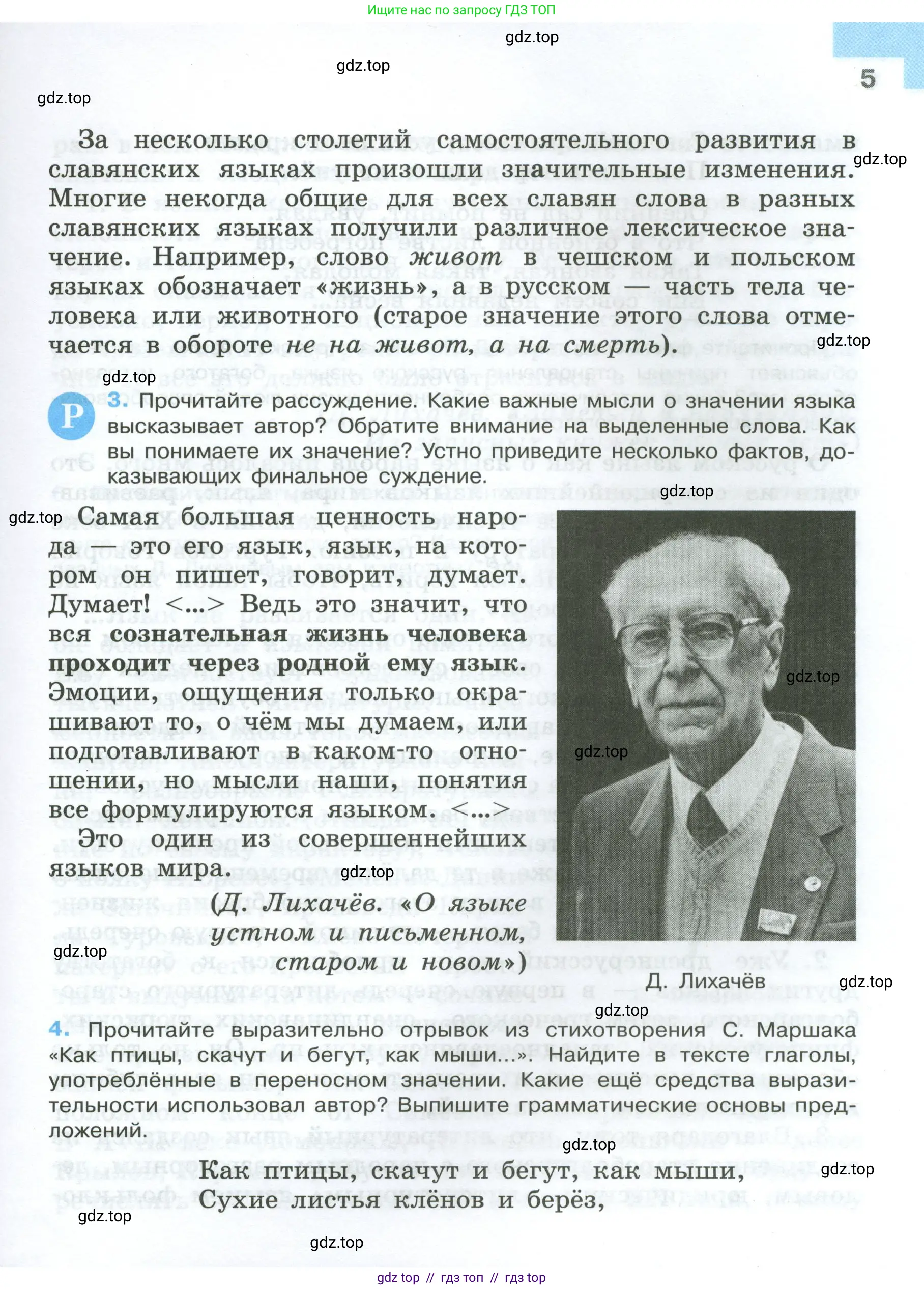 Условие 2024-2027