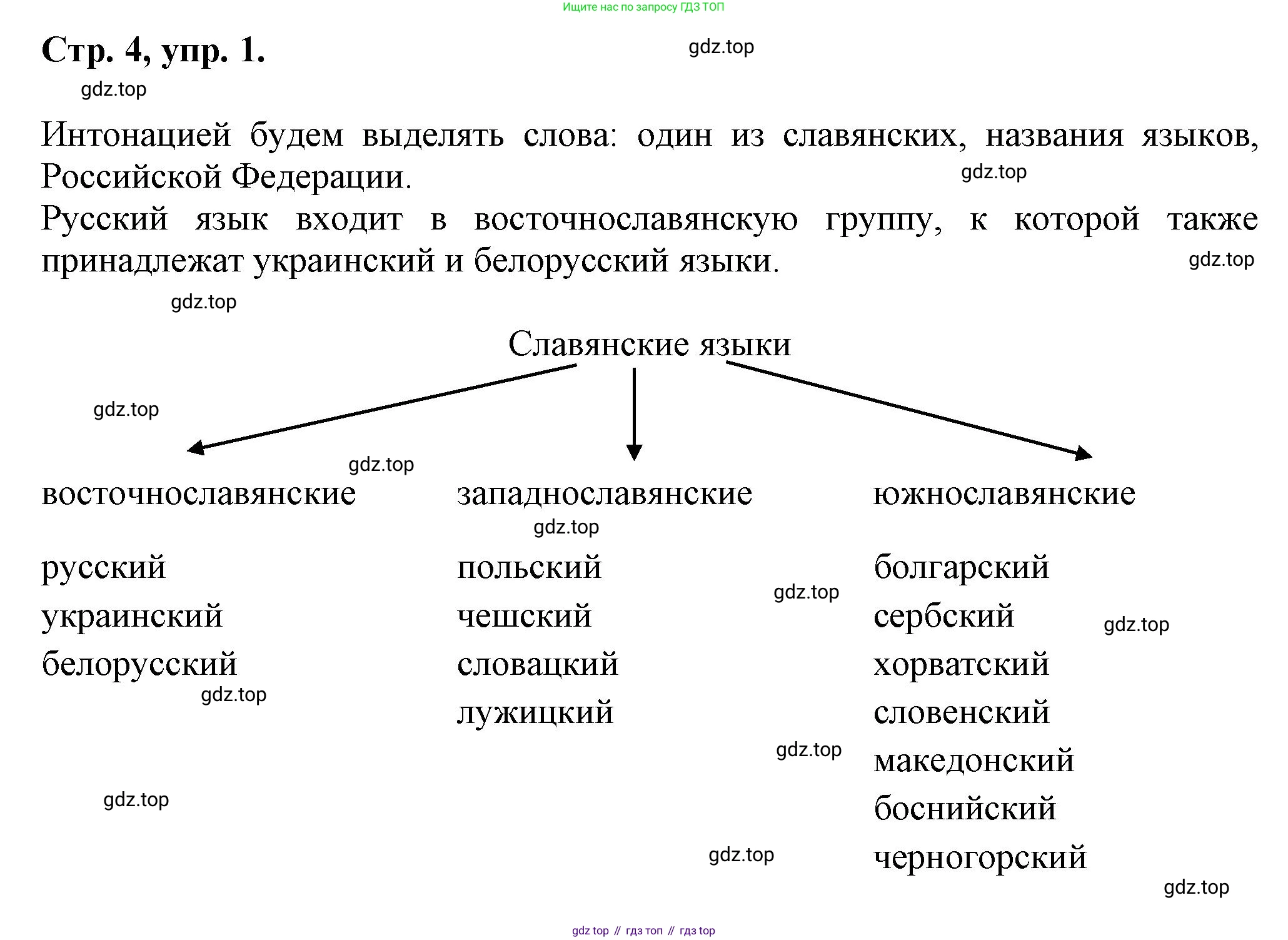 Русский язык, 7 класс Учебник, авторы: Баранов Михаил Трофимович, Ладыженская Таиса Алексеевна, Тростенцова Лидия Александровна, Ладыженская Наталия Вениаминовна, Александрова Ольга Макаровна, Дейкина Алевтина Дмитриевна, Антонова Любовь Геннадиевна, Григорян Лариса Трофимовна, Кулибаба Иван Иванович, издательство Просвещение, Москва, 2023, зелёного цвета, Часть 1, страница 4, номер 1, Решение 1 (2024-2027)
