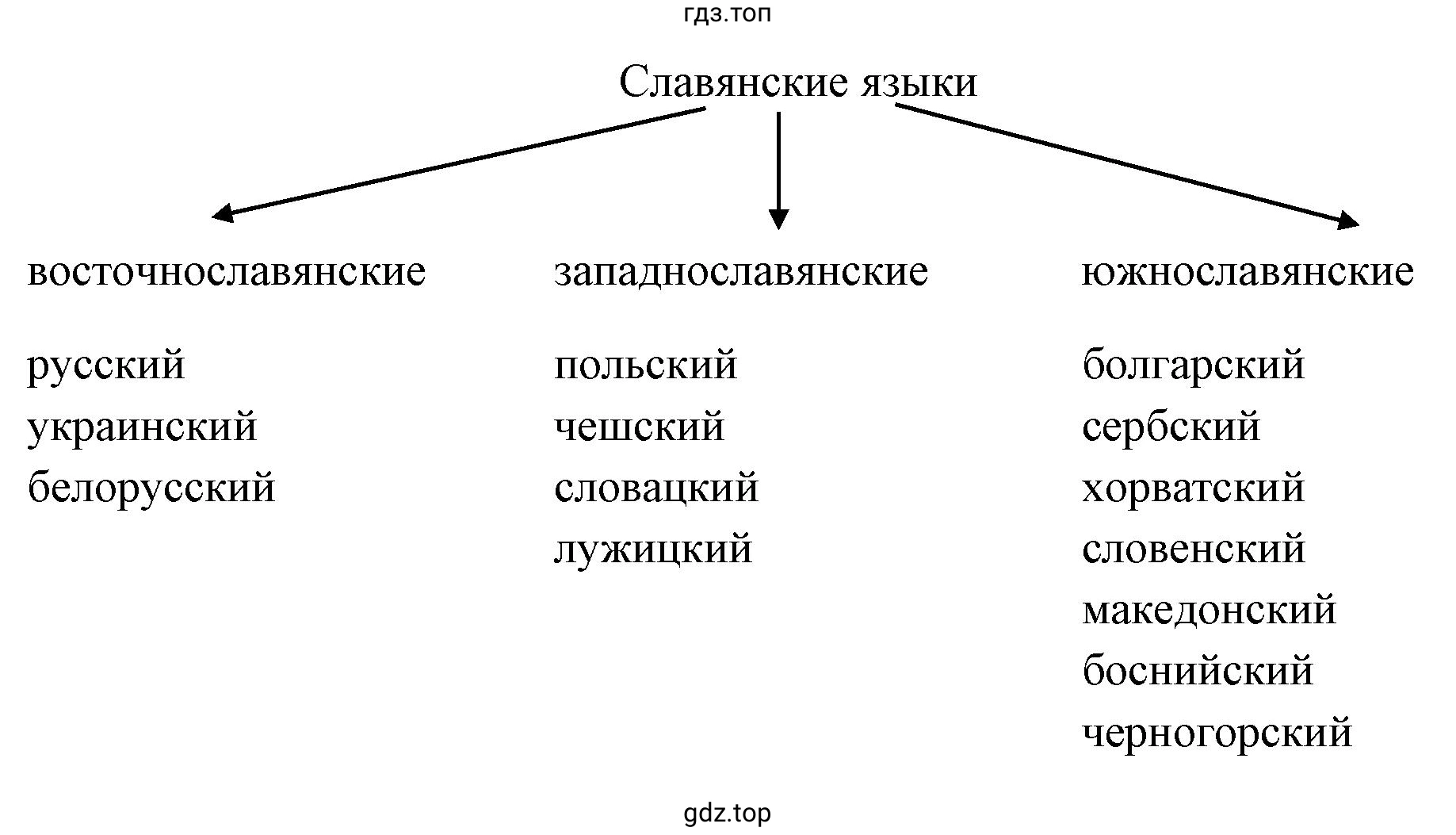 славянские языки