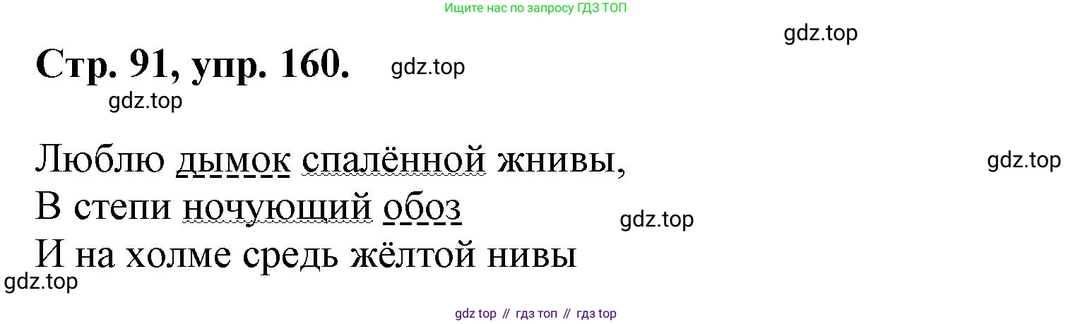 Русский язык, 7 класс Учебник, авторы: Баранов Михаил Трофимович, Ладыженская Таиса Алексеевна, Тростенцова Лидия Александровна, Ладыженская Наталия Вениаминовна, Александрова Ольга Макаровна, Дейкина Алевтина Дмитриевна, Антонова Любовь Геннадиевна, Григорян Лариса Трофимовна, Кулибаба Иван Иванович, издательство Просвещение, Москва, 2023, зелёного цвета, Часть 1, страница 91, номер 160, Решение 1 (2024-2027)