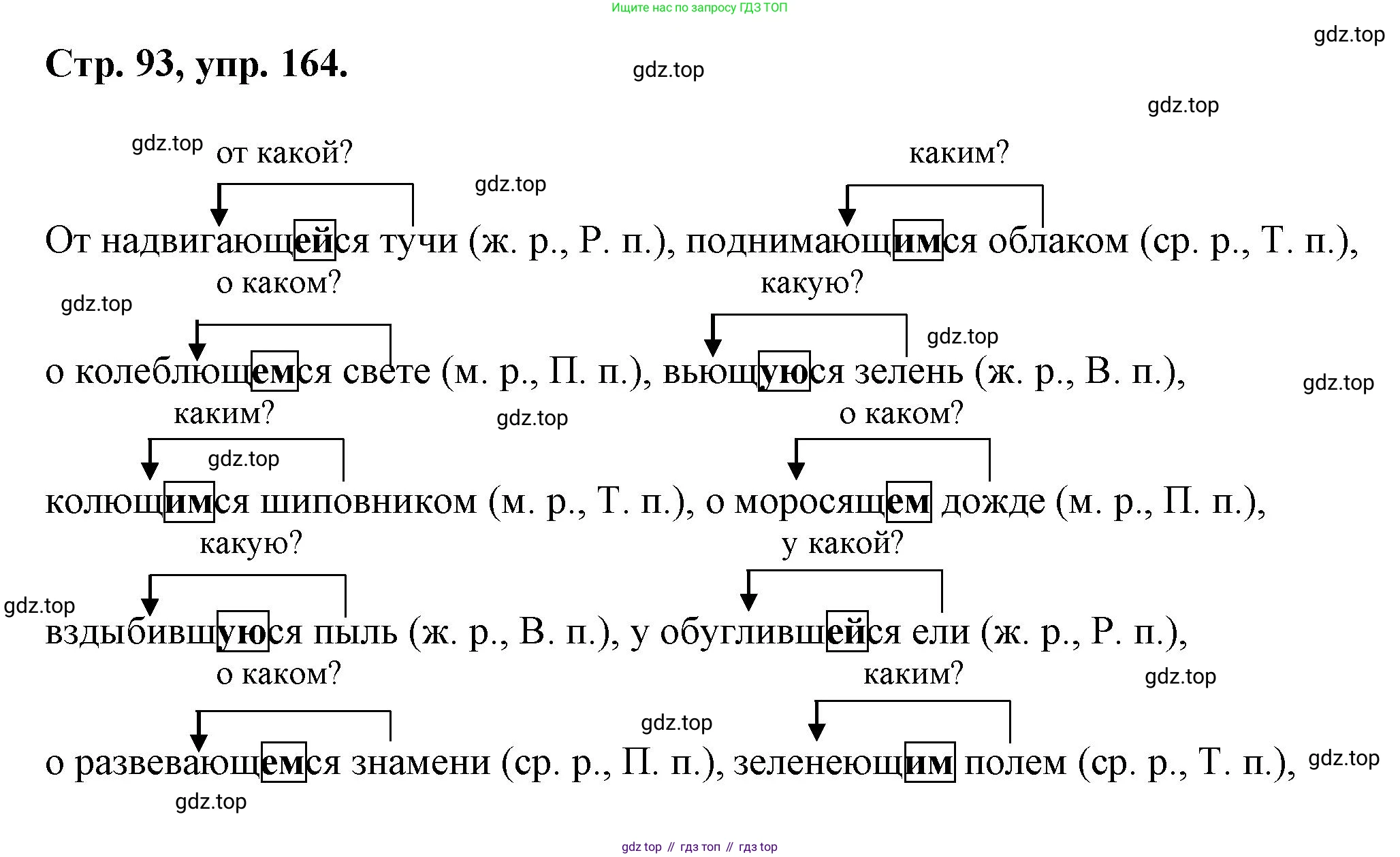 Русский язык, 7 класс Учебник, авторы: Баранов Михаил Трофимович, Ладыженская Таиса Алексеевна, Тростенцова Лидия Александровна, Ладыженская Наталия Вениаминовна, Александрова Ольга Макаровна, Дейкина Алевтина Дмитриевна, Антонова Любовь Геннадиевна, Григорян Лариса Трофимовна, Кулибаба Иван Иванович, издательство Просвещение, Москва, 2023, зелёного цвета, Часть 1, страница 93, номер 164, Решение 1 (2024-2027)