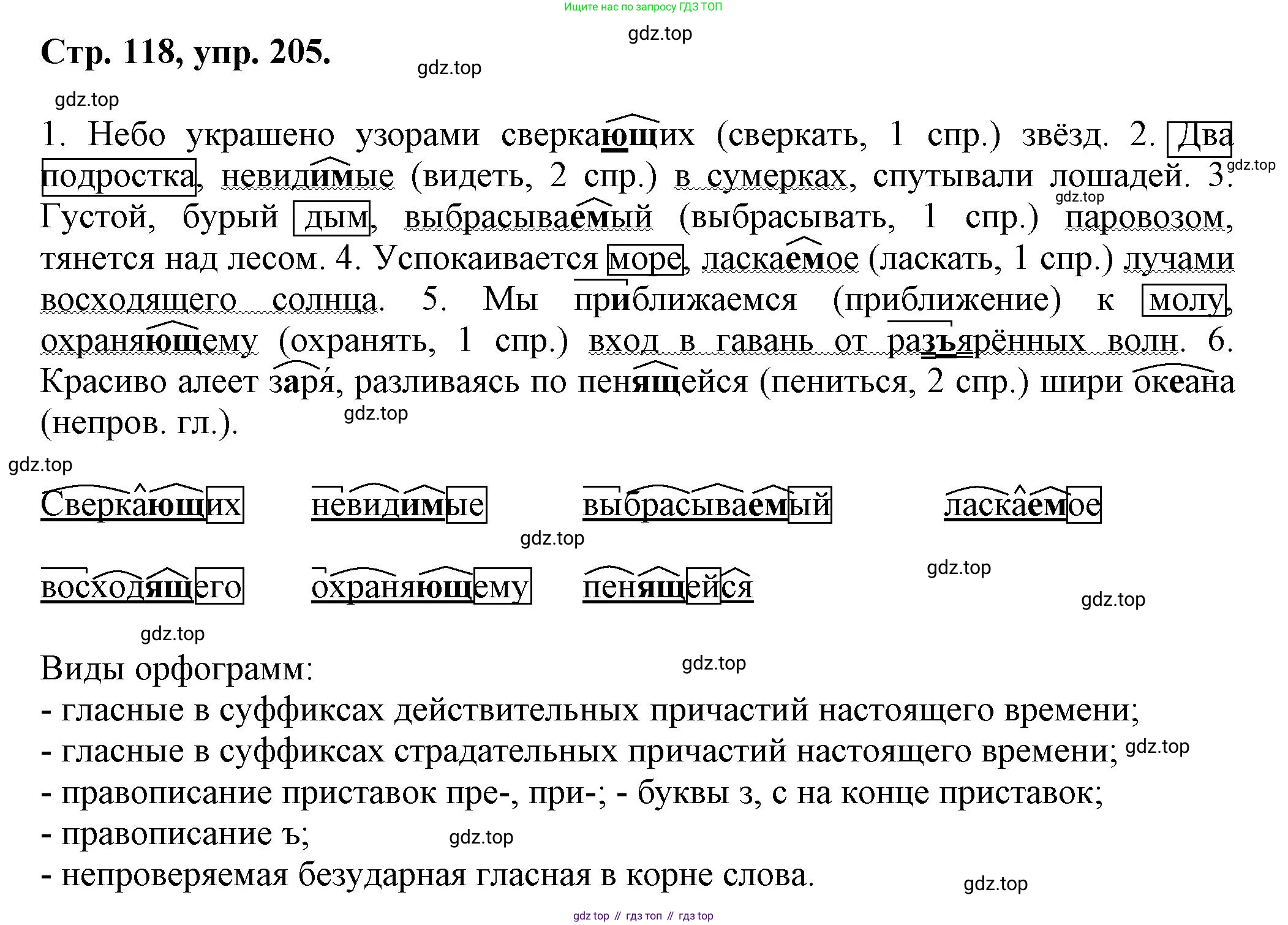 Русский язык, 7 класс Учебник, авторы: Баранов Михаил Трофимович, Ладыженская Таиса Алексеевна, Тростенцова Лидия Александровна, Ладыженская Наталия Вениаминовна, Александрова Ольга Макаровна, Дейкина Алевтина Дмитриевна, Антонова Любовь Геннадиевна, Григорян Лариса Трофимовна, Кулибаба Иван Иванович, издательство Просвещение, Москва, 2023, зелёного цвета, Часть 1, страница 118, номер 205, Решение 1 (2024-2027)