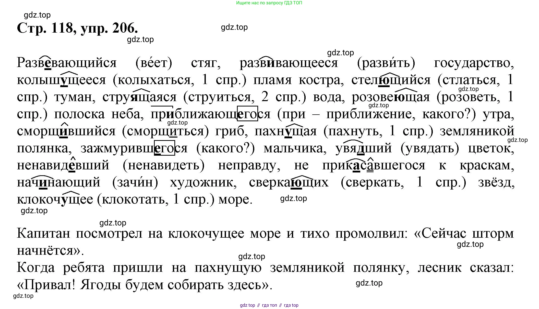 Русский язык, 7 класс Учебник, авторы: Баранов Михаил Трофимович, Ладыженская Таиса Алексеевна, Тростенцова Лидия Александровна, Ладыженская Наталия Вениаминовна, Александрова Ольга Макаровна, Дейкина Алевтина Дмитриевна, Антонова Любовь Геннадиевна, Григорян Лариса Трофимовна, Кулибаба Иван Иванович, издательство Просвещение, Москва, 2023, зелёного цвета, Часть 1, страница 118, номер 206, Решение 1 (2024-2027)