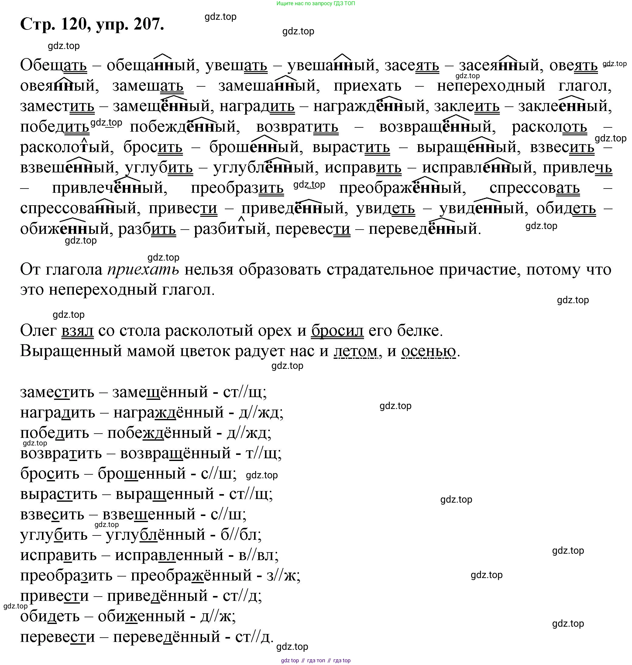 Русский язык, 7 класс Учебник, авторы: Баранов Михаил Трофимович, Ладыженская Таиса Алексеевна, Тростенцова Лидия Александровна, Ладыженская Наталия Вениаминовна, Александрова Ольга Макаровна, Дейкина Алевтина Дмитриевна, Антонова Любовь Геннадиевна, Григорян Лариса Трофимовна, Кулибаба Иван Иванович, издательство Просвещение, Москва, 2023, зелёного цвета, Часть 1, страница 120, номер 207, Решение 1 (2024-2027)