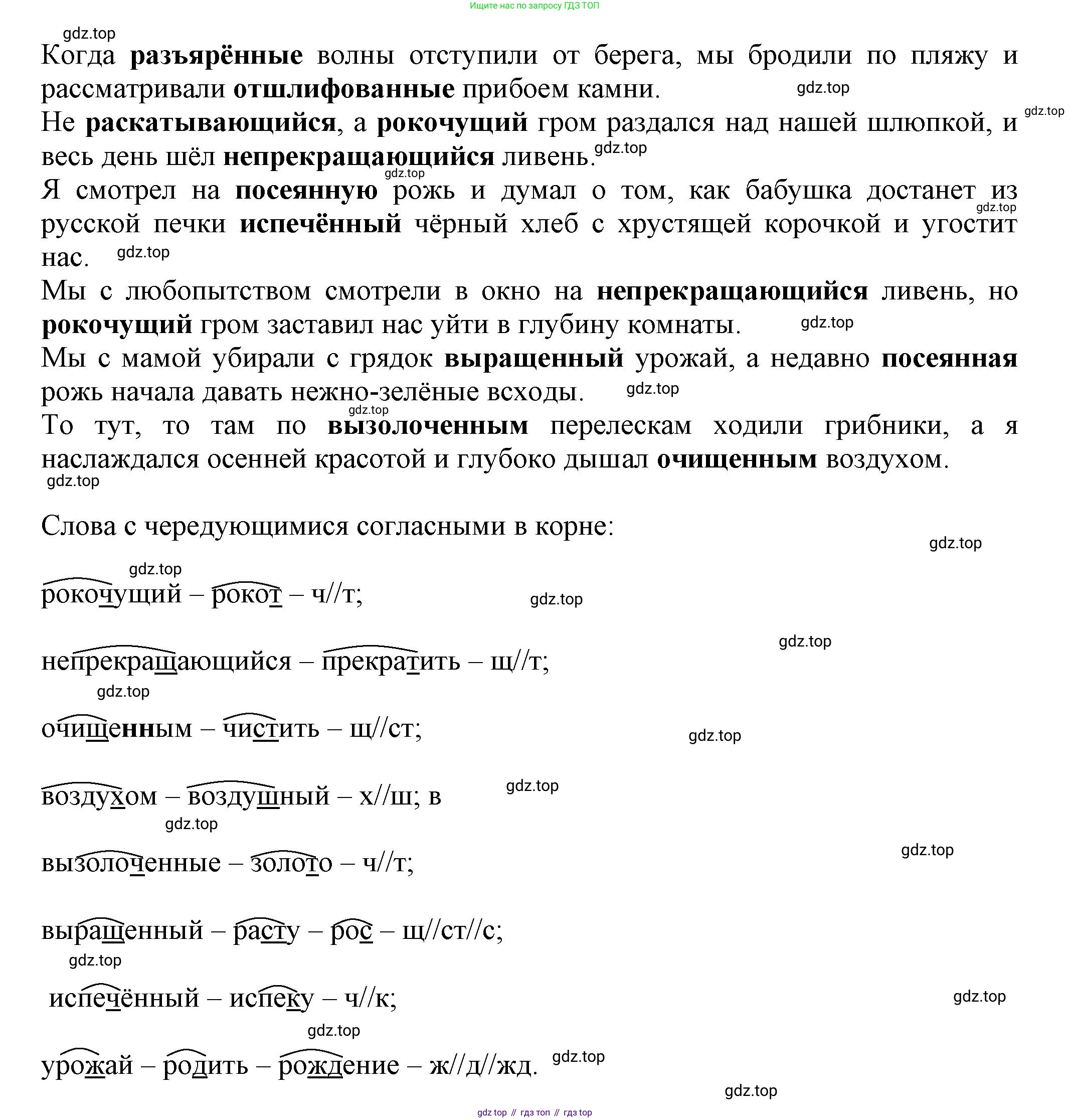 Русский язык, 7 класс Учебник, авторы: Баранов Михаил Трофимович, Ладыженская Таиса Алексеевна, Тростенцова Лидия Александровна, Ладыженская Наталия Вениаминовна, Александрова Ольга Макаровна, Дейкина Алевтина Дмитриевна, Антонова Любовь Геннадиевна, Григорян Лариса Трофимовна, Кулибаба Иван Иванович, издательство Просвещение, Москва, 2023, зелёного цвета, Часть 1, страница 146, номер 248, Решение 1 (2024-2027) (продолжение 2)