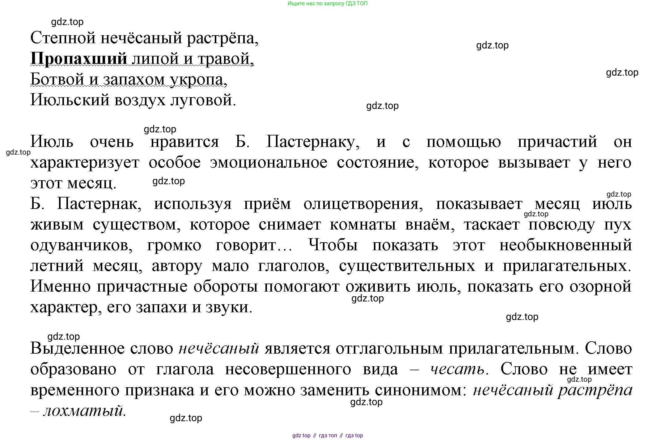 Русский язык, 7 класс Учебник, авторы: Баранов Михаил Трофимович, Ладыженская Таиса Алексеевна, Тростенцова Лидия Александровна, Ладыженская Наталия Вениаминовна, Александрова Ольга Макаровна, Дейкина Алевтина Дмитриевна, Антонова Любовь Геннадиевна, Григорян Лариса Трофимовна, Кулибаба Иван Иванович, издательство Просвещение, Москва, 2023, зелёного цвета, Часть 1, страница 146, номер 249, Решение 1 (2024-2027) (продолжение 2)