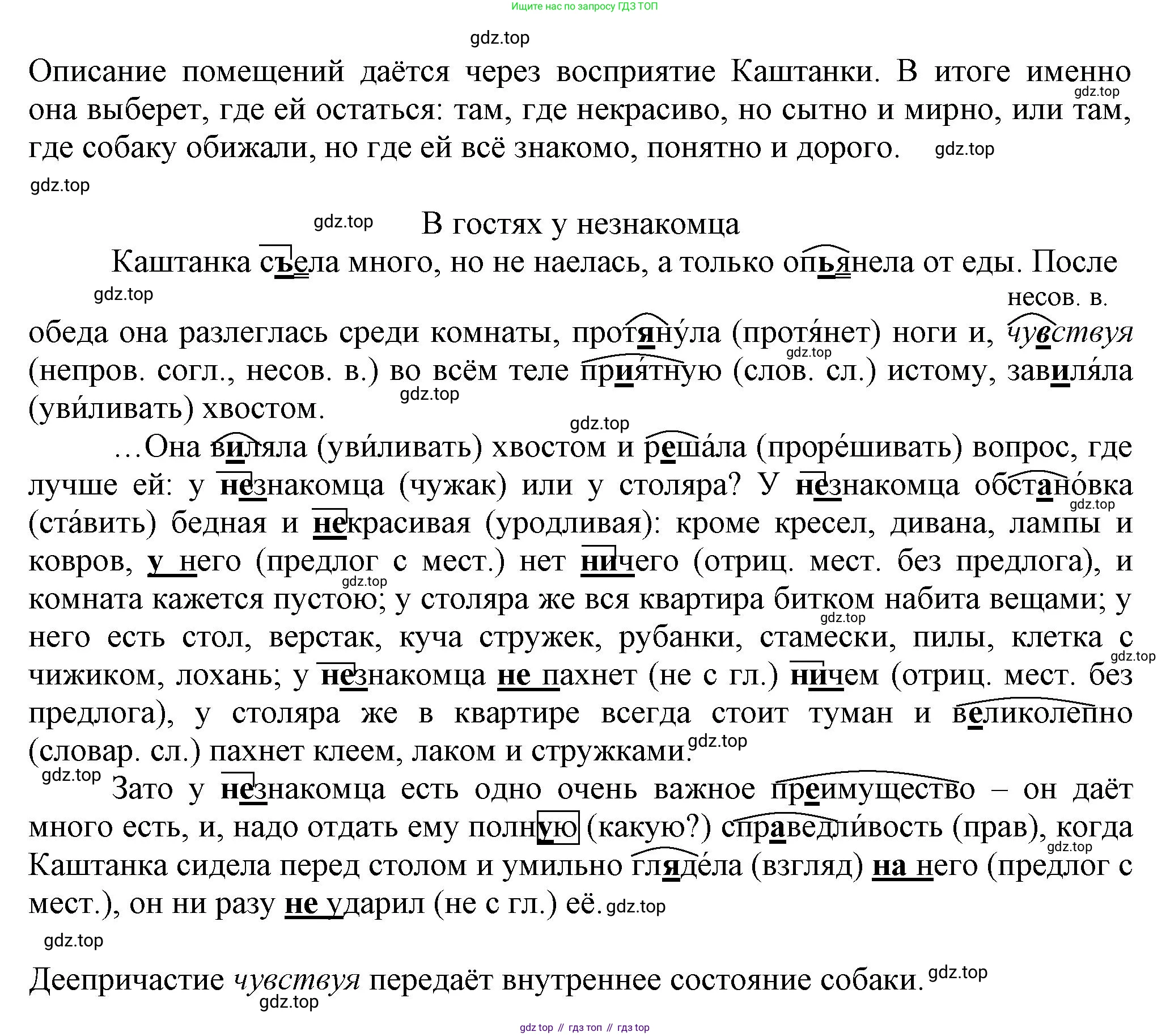 Русский язык, 7 класс Учебник, авторы: Баранов Михаил Трофимович, Ладыженская Таиса Алексеевна, Тростенцова Лидия Александровна, Ладыженская Наталия Вениаминовна, Александрова Ольга Макаровна, Дейкина Алевтина Дмитриевна, Антонова Любовь Геннадиевна, Григорян Лариса Трофимовна, Кулибаба Иван Иванович, издательство Просвещение, Москва, 2023, зелёного цвета, Часть 1, страница 175, номер 300, Решение 1 (2024-2027) (продолжение 2)