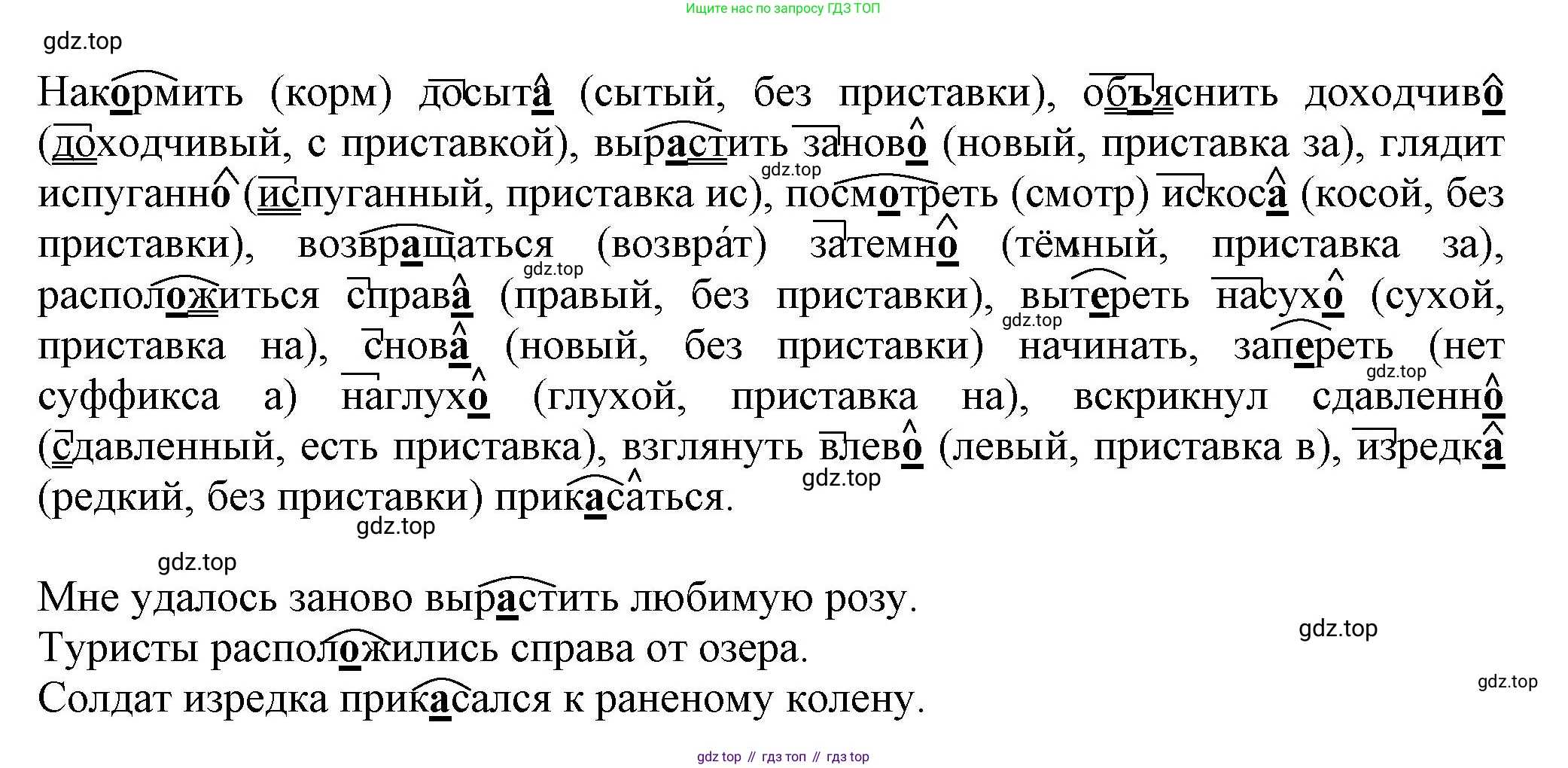 Русский язык, 7 класс Учебник, авторы: Баранов Михаил Трофимович, Ладыженская Таиса Алексеевна, Тростенцова Лидия Александровна, Ладыженская Наталия Вениаминовна, Александрова Ольга Макаровна, Дейкина Алевтина Дмитриевна, Антонова Любовь Геннадиевна, Григорян Лариса Трофимовна, Кулибаба Иван Иванович, издательство Просвещение, Москва, 2023, зелёного цвета, Часть 1, страница 208, номер 361, Решение 1 (2024-2027)