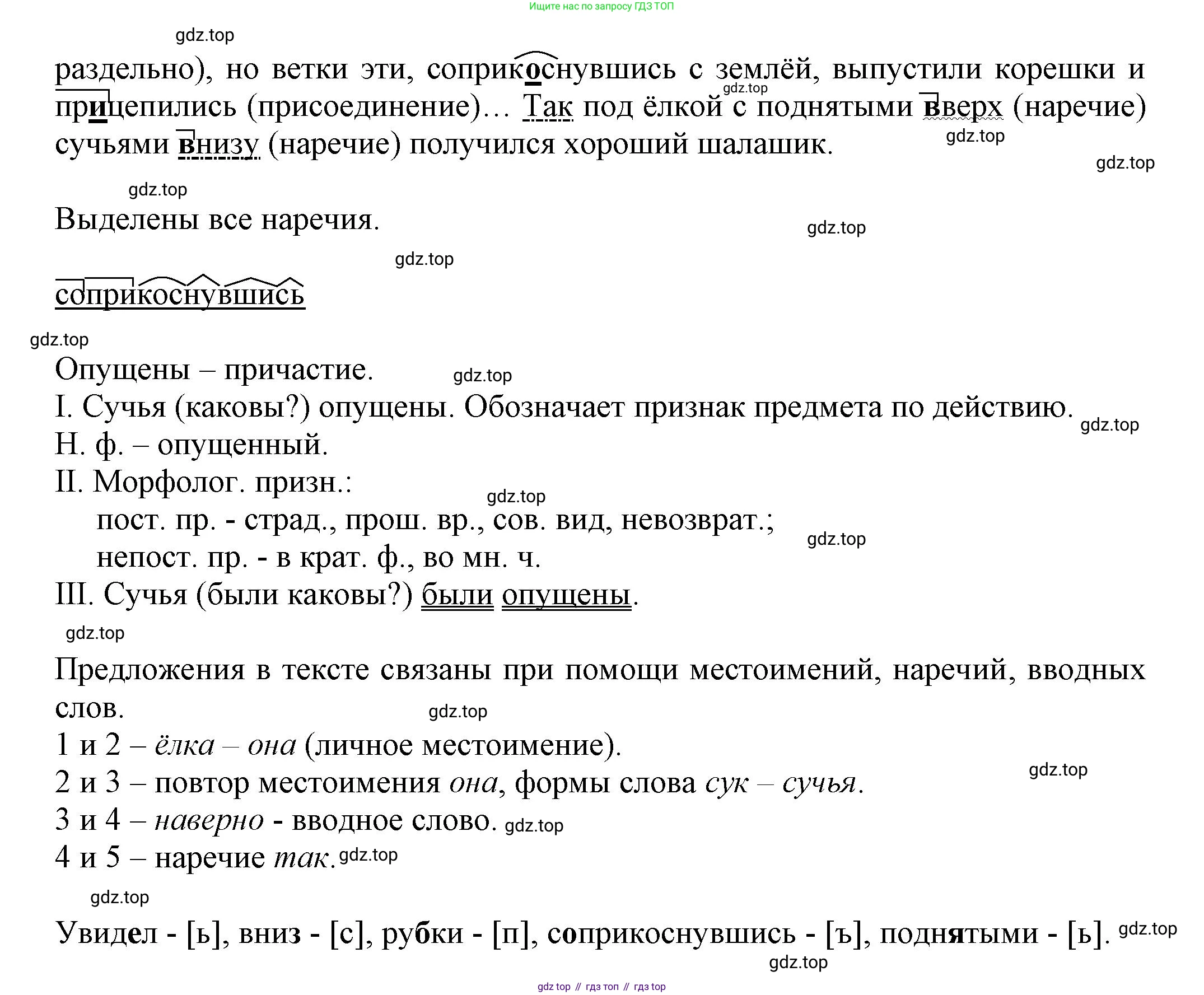 Русский язык, 7 класс Учебник, авторы: Баранов Михаил Трофимович, Ладыженская Таиса Алексеевна, Тростенцова Лидия Александровна, Ладыженская Наталия Вениаминовна, Александрова Ольга Макаровна, Дейкина Алевтина Дмитриевна, Антонова Любовь Геннадиевна, Григорян Лариса Трофимовна, Кулибаба Иван Иванович, издательство Просвещение, Москва, 2023, зелёного цвета, Часть 1, страница 218, номер 387, Решение 1 (2024-2027) (продолжение 2)