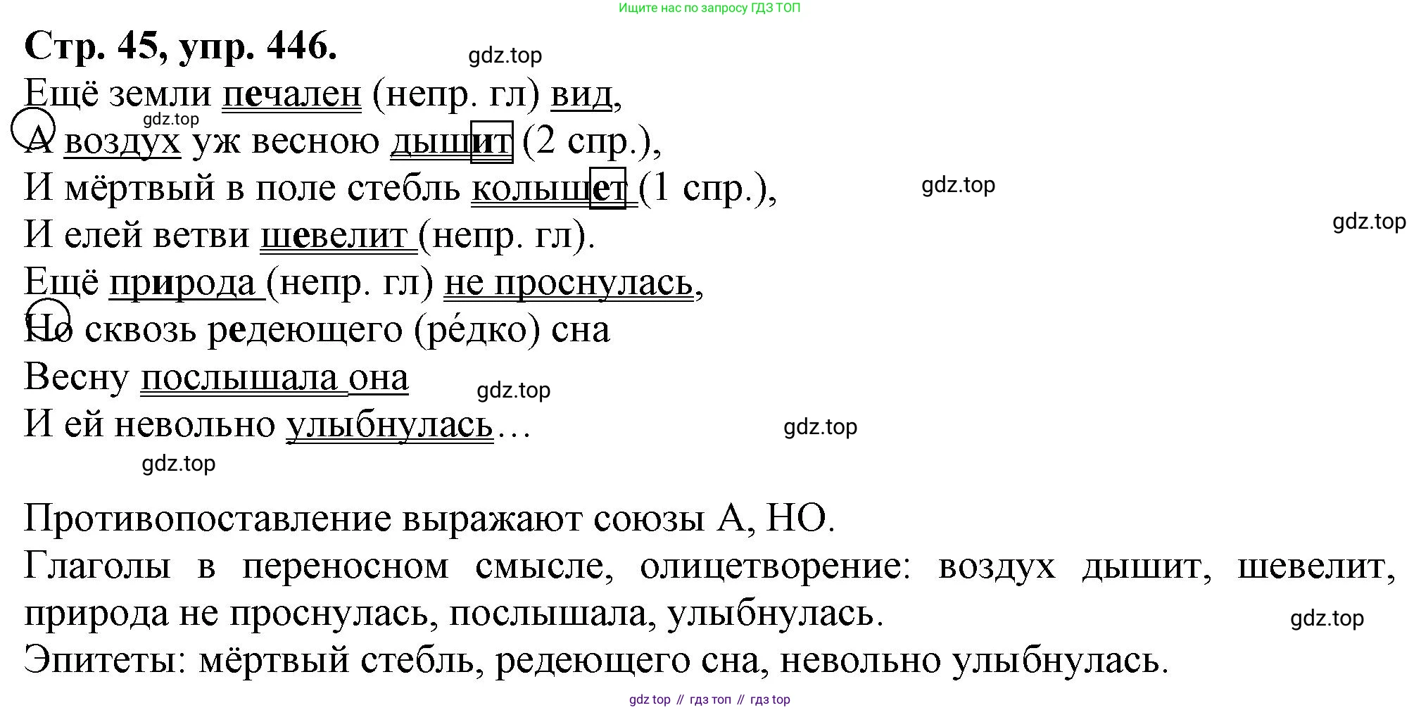 Русский язык, 7 класс Учебник, авторы: Баранов Михаил Трофимович, Ладыженская Таиса Алексеевна, Тростенцова Лидия Александровна, Ладыженская Наталия Вениаминовна, Александрова Ольга Макаровна, Дейкина Алевтина Дмитриевна, Антонова Любовь Геннадиевна, Григорян Лариса Трофимовна, Кулибаба Иван Иванович, издательство Просвещение, Москва, 2023, зелёного цвета, Часть 2, страница 45, номер 446, Решение 1 (2024-2027)