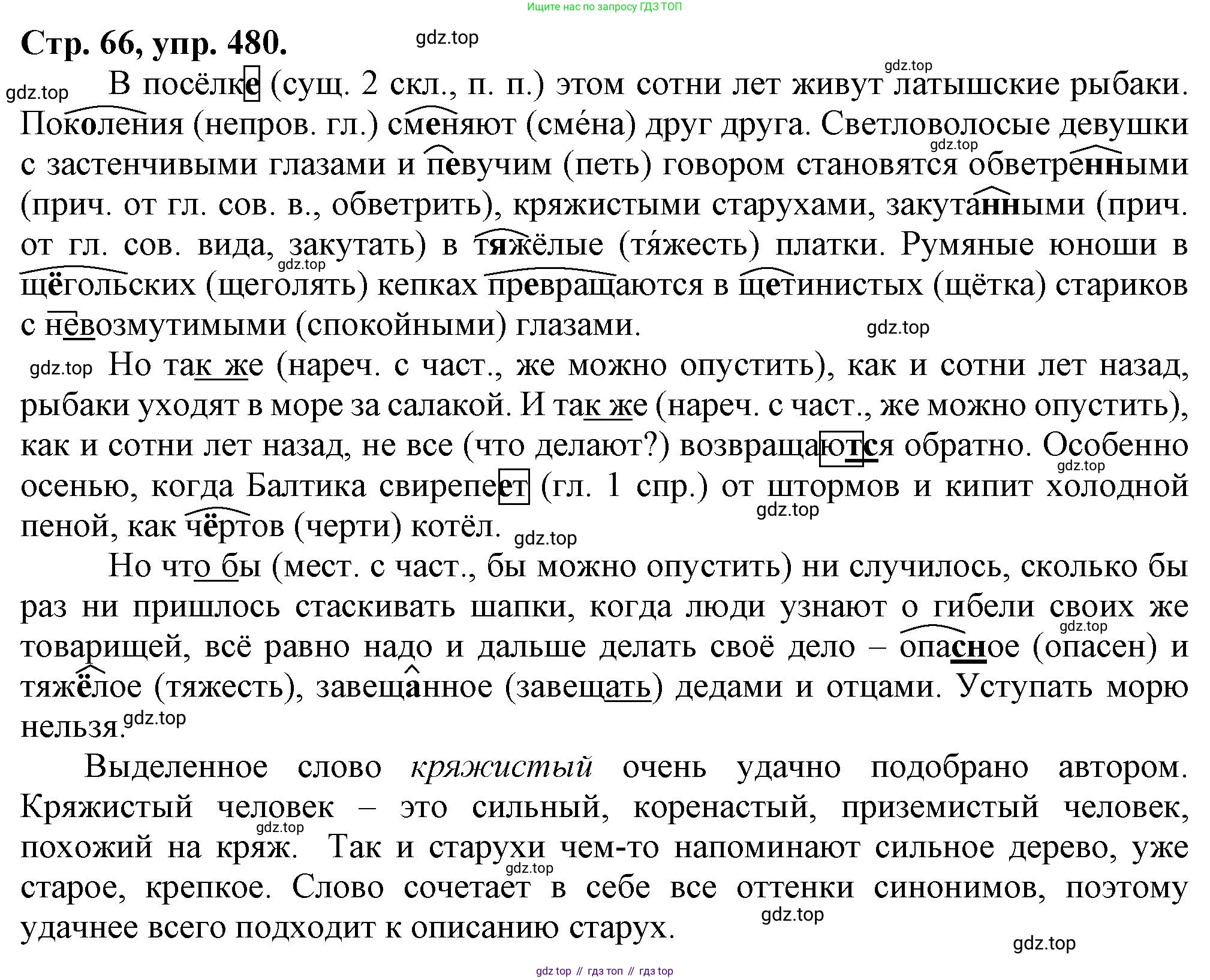 Русский язык, 7 класс Учебник, авторы: Баранов Михаил Трофимович, Ладыженская Таиса Алексеевна, Тростенцова Лидия Александровна, Ладыженская Наталия Вениаминовна, Александрова Ольга Макаровна, Дейкина Алевтина Дмитриевна, Антонова Любовь Геннадиевна, Григорян Лариса Трофимовна, Кулибаба Иван Иванович, издательство Просвещение, Москва, 2023, зелёного цвета, Часть 2, страница 66, номер 480, Решение 1 (2024-2027)