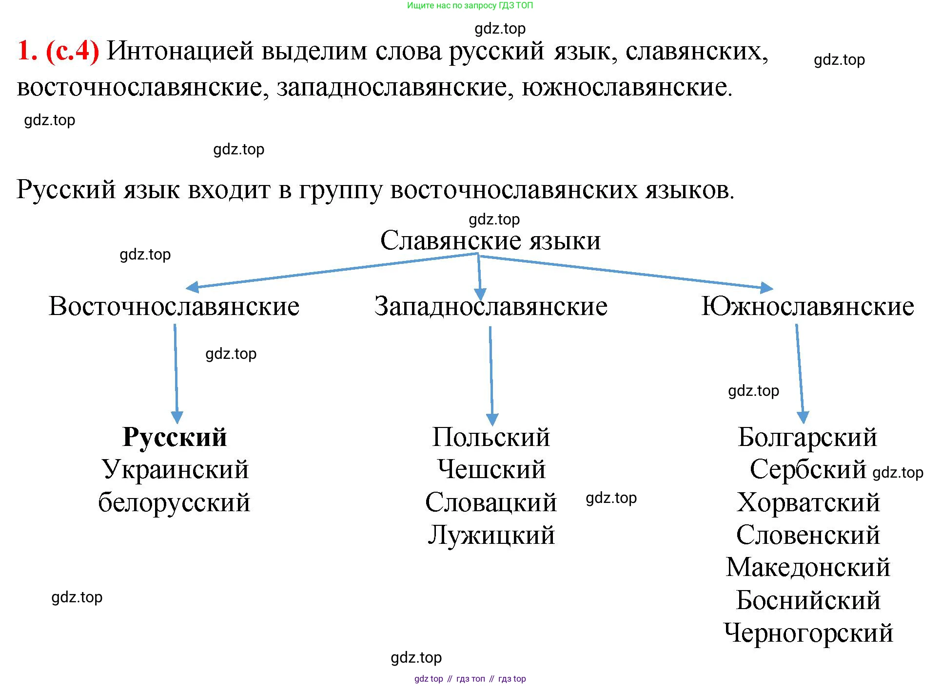 Русский язык, 7 класс Учебник, авторы: Баранов Михаил Трофимович, Ладыженская Таиса Алексеевна, Тростенцова Лидия Александровна, Ладыженская Наталия Вениаминовна, Александрова Ольга Макаровна, Дейкина Алевтина Дмитриевна, Антонова Любовь Геннадиевна, Григорян Лариса Трофимовна, Кулибаба Иван Иванович, издательство Просвещение, Москва, 2023, зелёного цвета, Часть 1, страница 4, номер 1, Решение 2 (2024-2027)