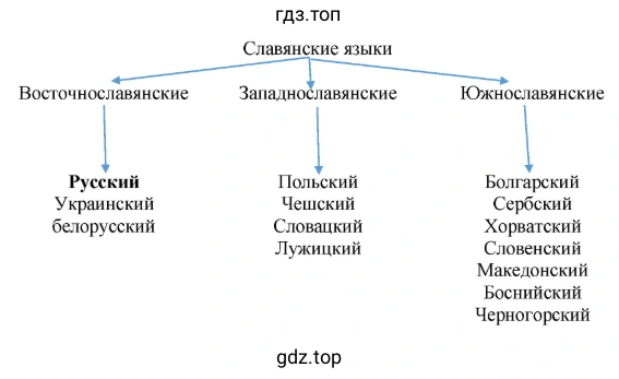 славянские языки