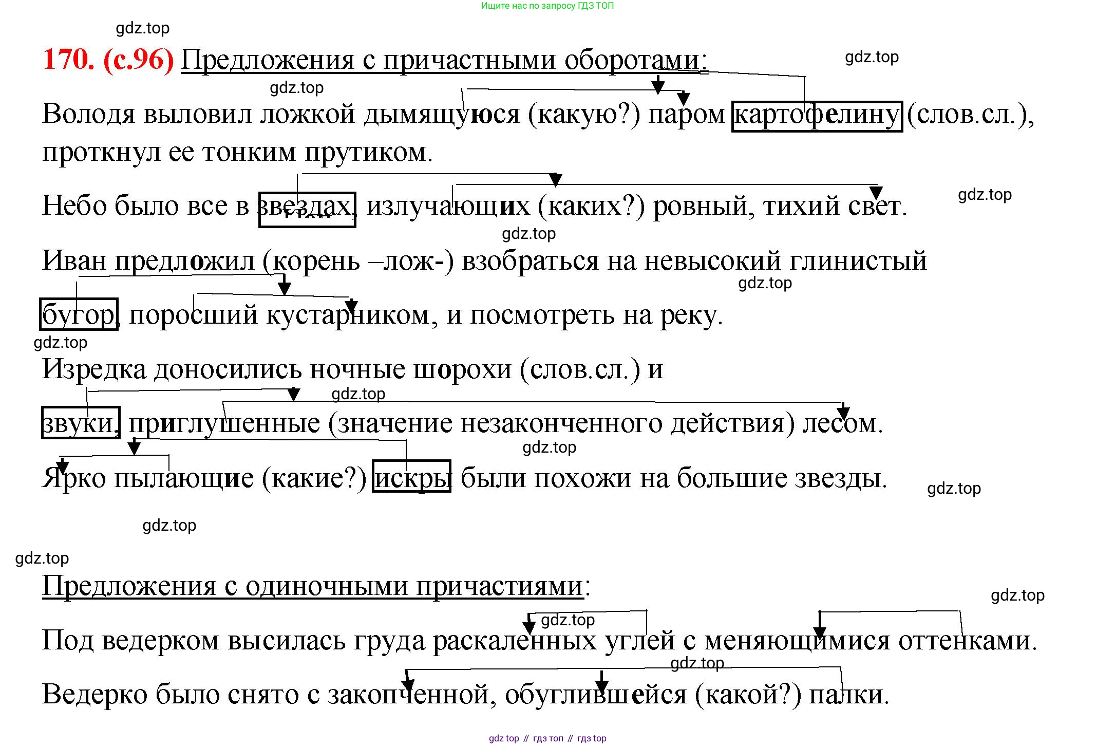 Русский язык, 7 класс Учебник, авторы: Баранов Михаил Трофимович, Ладыженская Таиса Алексеевна, Тростенцова Лидия Александровна, Ладыженская Наталия Вениаминовна, Александрова Ольга Макаровна, Дейкина Алевтина Дмитриевна, Антонова Любовь Геннадиевна, Григорян Лариса Трофимовна, Кулибаба Иван Иванович, издательство Просвещение, Москва, 2023, зелёного цвета, Часть 1, страница 96, номер 170, Решение 2 (2024-2027)
