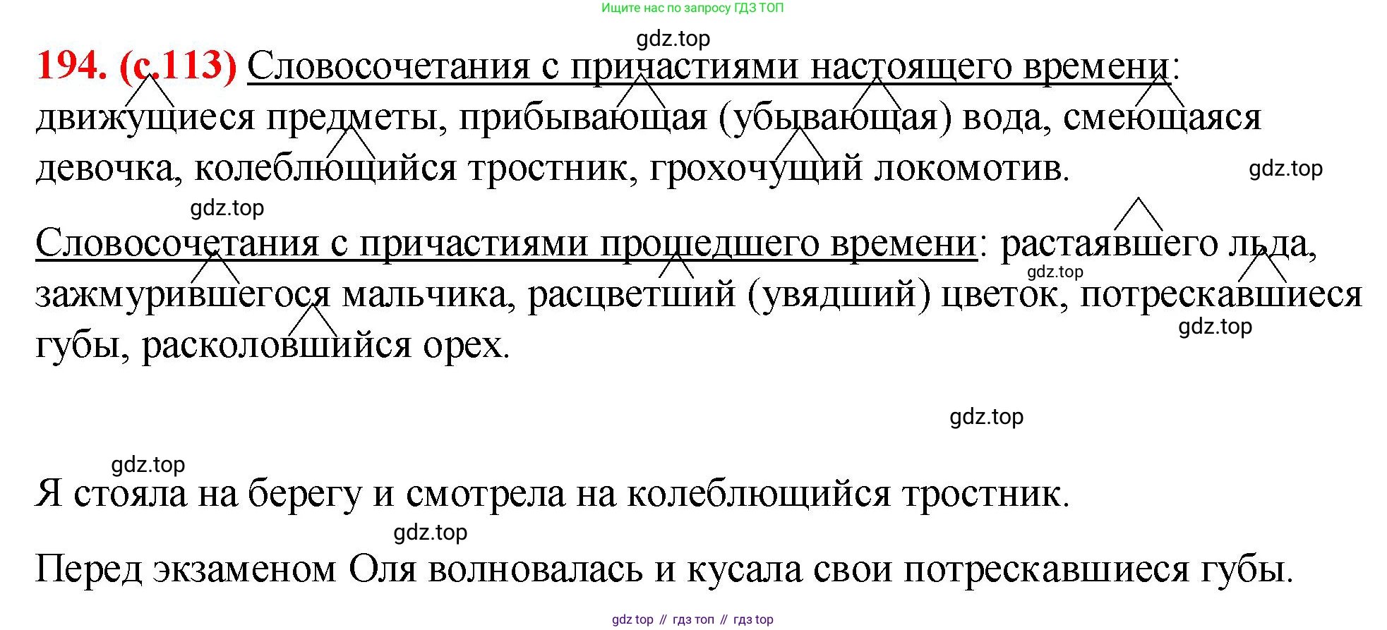 Русский язык, 7 класс Учебник, авторы: Баранов Михаил Трофимович, Ладыженская Таиса Алексеевна, Тростенцова Лидия Александровна, Ладыженская Наталия Вениаминовна, Александрова Ольга Макаровна, Дейкина Алевтина Дмитриевна, Антонова Любовь Геннадиевна, Григорян Лариса Трофимовна, Кулибаба Иван Иванович, издательство Просвещение, Москва, 2023, зелёного цвета, Часть 1, страница 113, номер 194, Решение 2 (2024-2027)