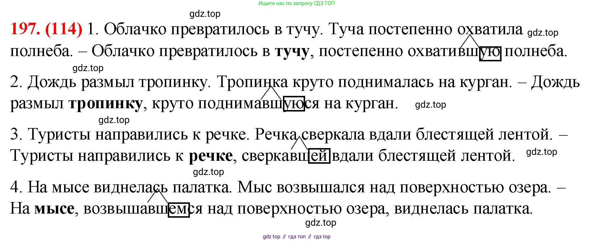 Русский язык, 7 класс Учебник, авторы: Баранов Михаил Трофимович, Ладыженская Таиса Алексеевна, Тростенцова Лидия Александровна, Ладыженская Наталия Вениаминовна, Александрова Ольга Макаровна, Дейкина Алевтина Дмитриевна, Антонова Любовь Геннадиевна, Григорян Лариса Трофимовна, Кулибаба Иван Иванович, издательство Просвещение, Москва, 2023, зелёного цвета, Часть 1, страница 114, номер 197, Решение 2 (2024-2027)