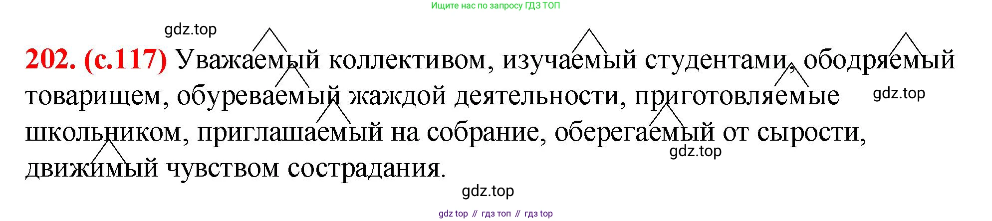 Русский язык, 7 класс Учебник, авторы: Баранов Михаил Трофимович, Ладыженская Таиса Алексеевна, Тростенцова Лидия Александровна, Ладыженская Наталия Вениаминовна, Александрова Ольга Макаровна, Дейкина Алевтина Дмитриевна, Антонова Любовь Геннадиевна, Григорян Лариса Трофимовна, Кулибаба Иван Иванович, издательство Просвещение, Москва, 2023, зелёного цвета, Часть 1, страница 117, номер 202, Решение 2 (2024-2027)
