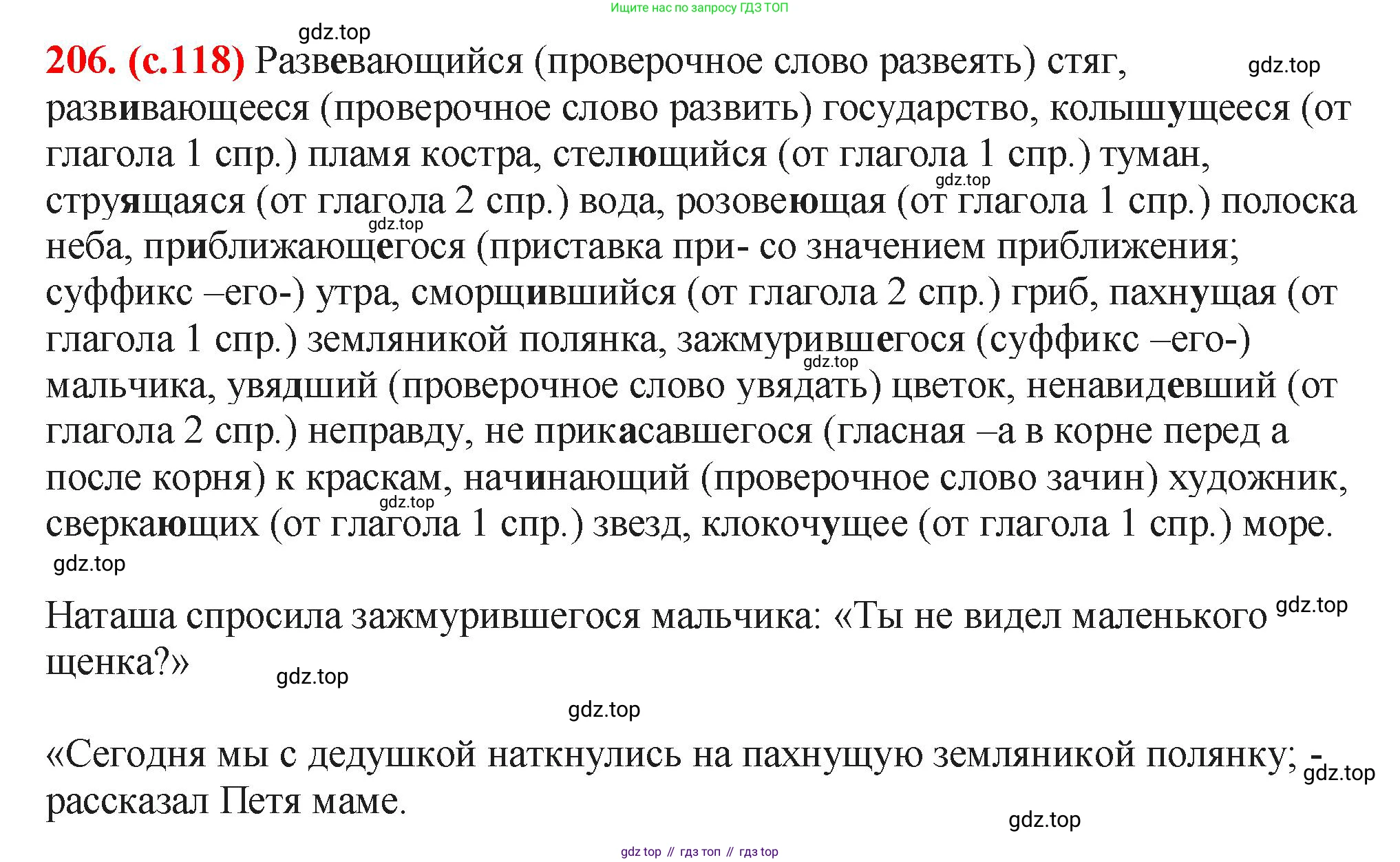 Русский язык, 7 класс Учебник, авторы: Баранов Михаил Трофимович, Ладыженская Таиса Алексеевна, Тростенцова Лидия Александровна, Ладыженская Наталия Вениаминовна, Александрова Ольга Макаровна, Дейкина Алевтина Дмитриевна, Антонова Любовь Геннадиевна, Григорян Лариса Трофимовна, Кулибаба Иван Иванович, издательство Просвещение, Москва, 2023, зелёного цвета, Часть 1, страница 118, номер 206, Решение 2 (2024-2027)