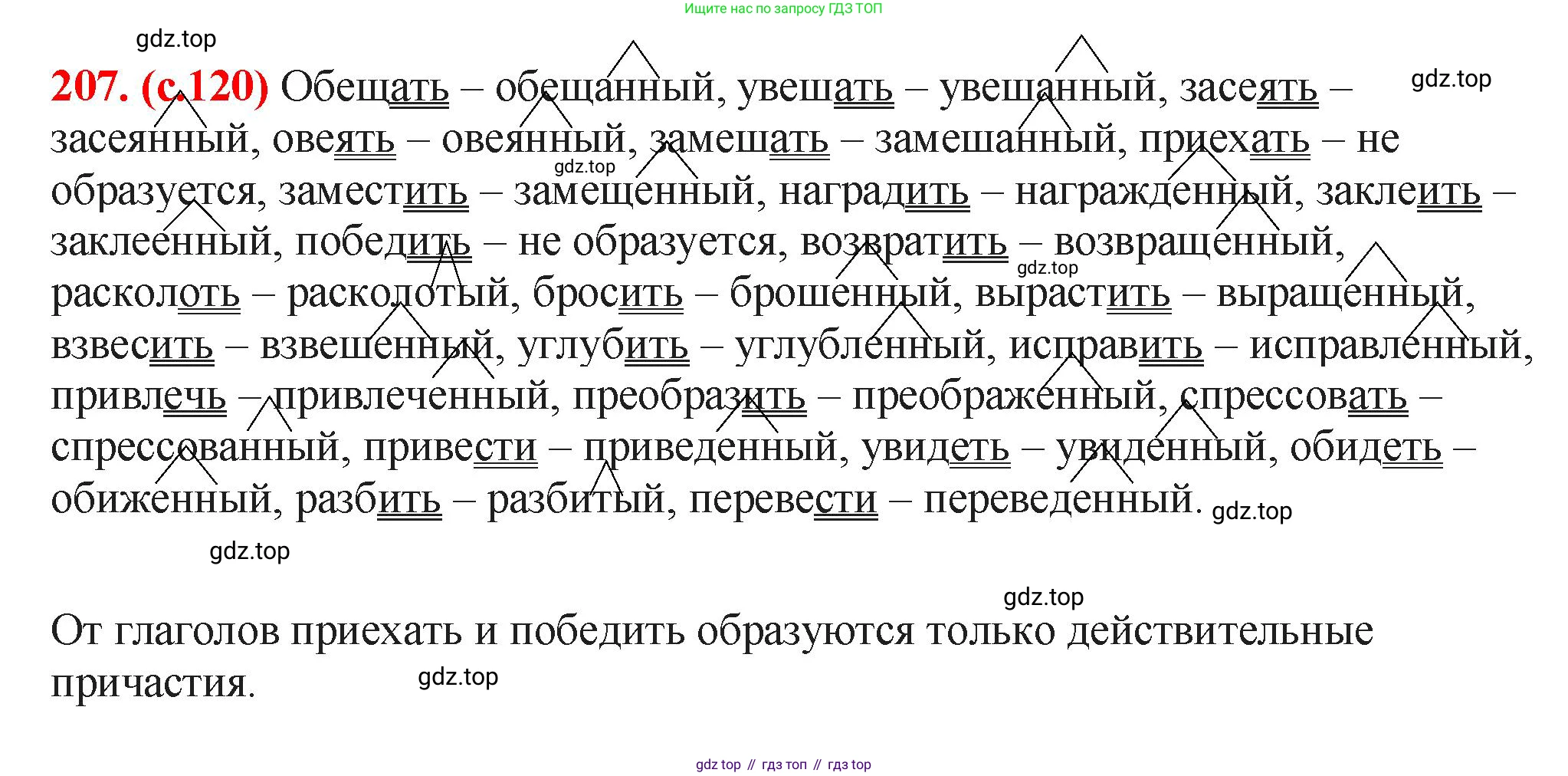 Русский язык, 7 класс Учебник, авторы: Баранов Михаил Трофимович, Ладыженская Таиса Алексеевна, Тростенцова Лидия Александровна, Ладыженская Наталия Вениаминовна, Александрова Ольга Макаровна, Дейкина Алевтина Дмитриевна, Антонова Любовь Геннадиевна, Григорян Лариса Трофимовна, Кулибаба Иван Иванович, издательство Просвещение, Москва, 2023, зелёного цвета, Часть 1, страница 120, номер 207, Решение 2 (2024-2027)