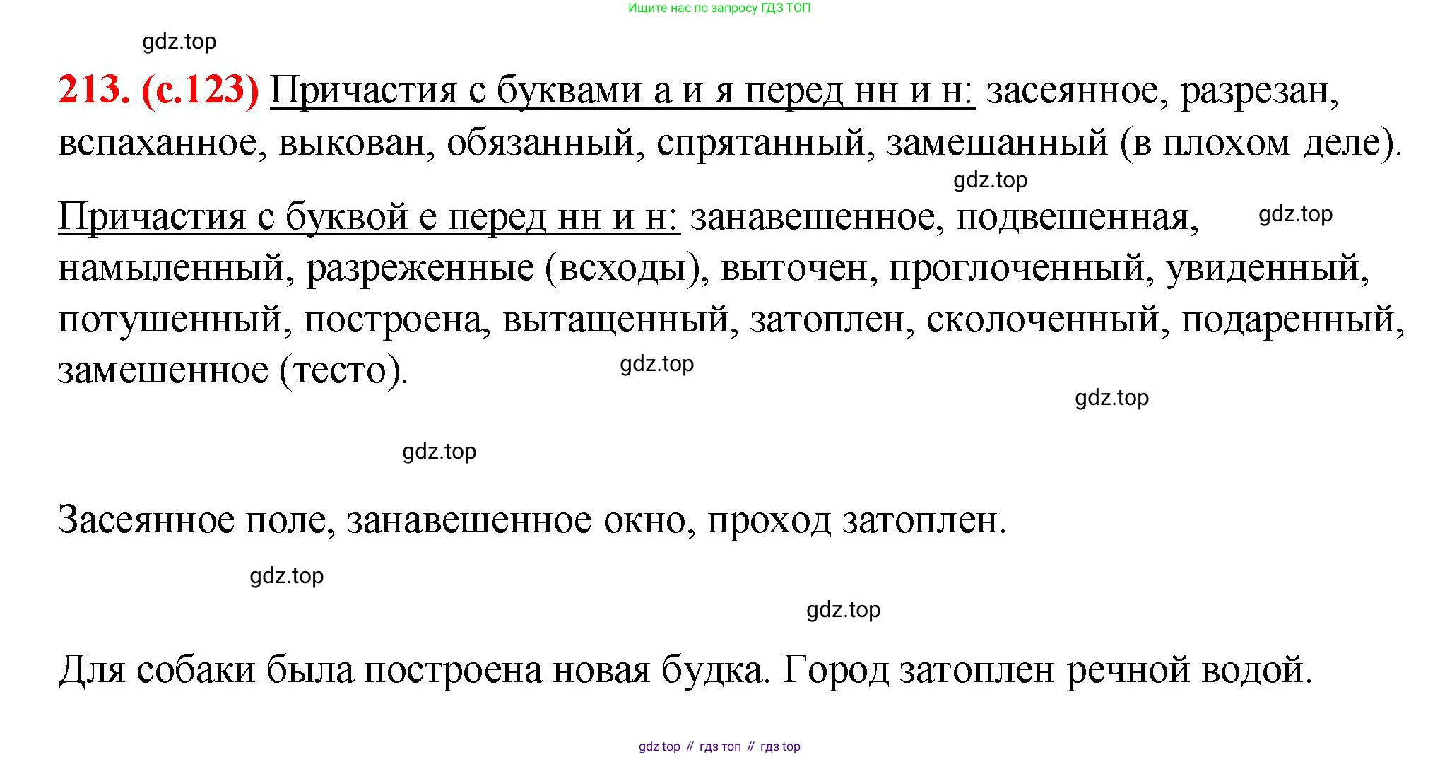 Русский язык, 7 класс Учебник, авторы: Баранов Михаил Трофимович, Ладыженская Таиса Алексеевна, Тростенцова Лидия Александровна, Ладыженская Наталия Вениаминовна, Александрова Ольга Макаровна, Дейкина Алевтина Дмитриевна, Антонова Любовь Геннадиевна, Григорян Лариса Трофимовна, Кулибаба Иван Иванович, издательство Просвещение, Москва, 2023, зелёного цвета, Часть 1, страница 123, номер 213, Решение 2 (2024-2027)