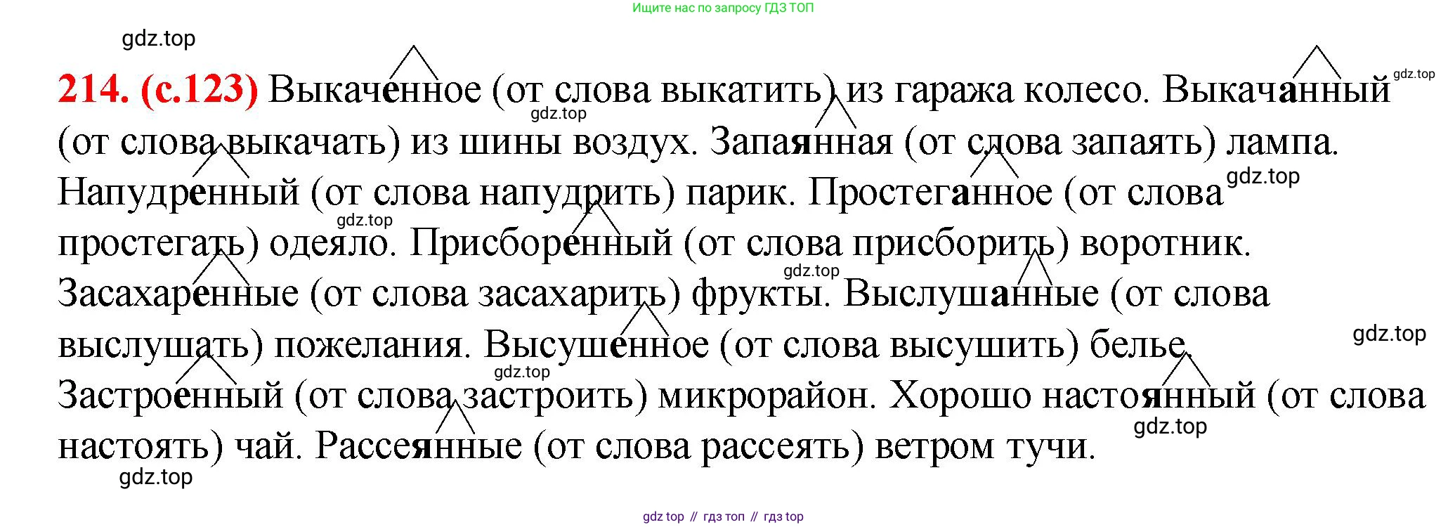 Русский язык, 7 класс Учебник, авторы: Баранов Михаил Трофимович, Ладыженская Таиса Алексеевна, Тростенцова Лидия Александровна, Ладыженская Наталия Вениаминовна, Александрова Ольга Макаровна, Дейкина Алевтина Дмитриевна, Антонова Любовь Геннадиевна, Григорян Лариса Трофимовна, Кулибаба Иван Иванович, издательство Просвещение, Москва, 2023, зелёного цвета, Часть 1, страница 123, номер 214, Решение 2 (2024-2027)