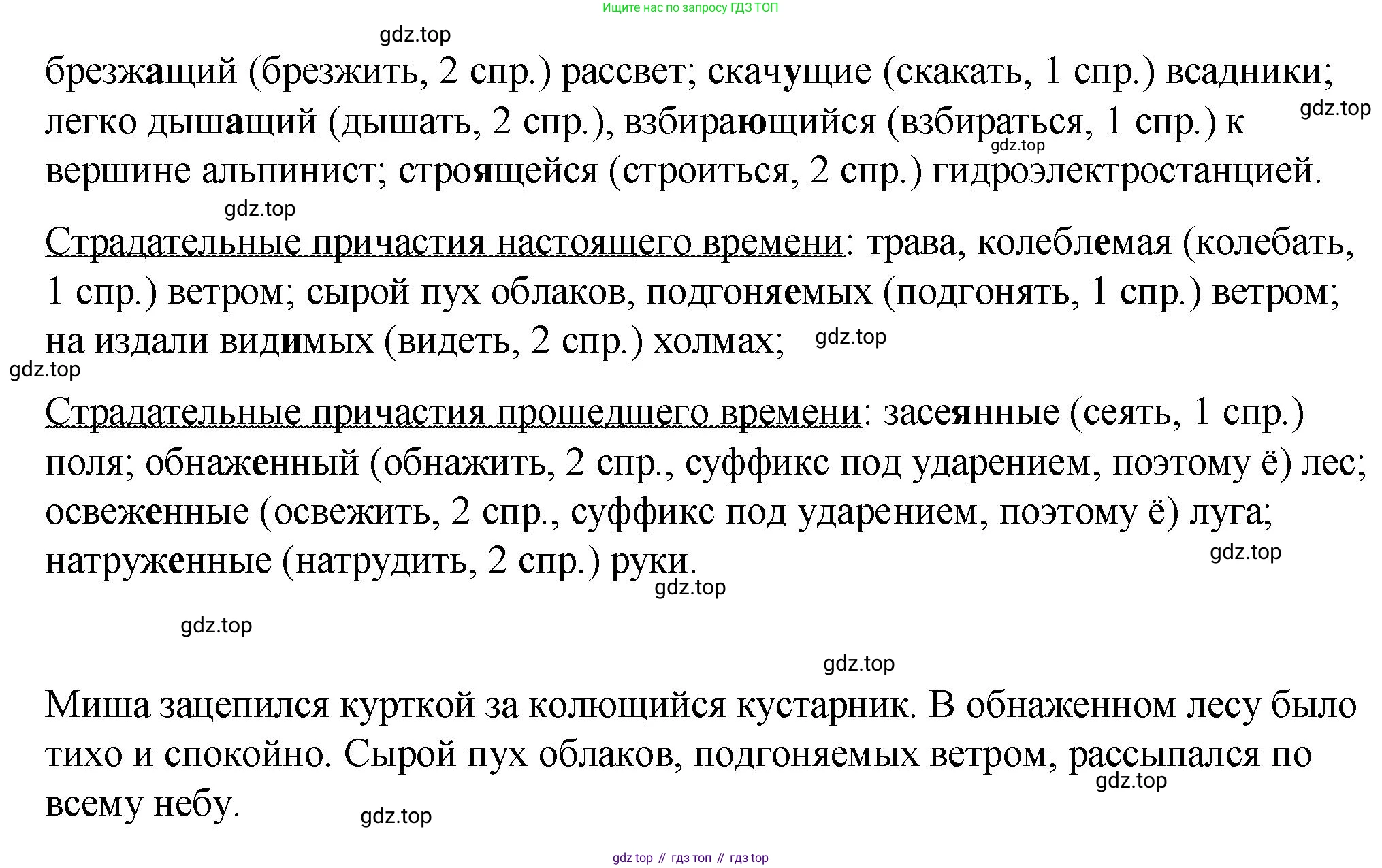 Русский язык, 7 класс Учебник, авторы: Баранов Михаил Трофимович, Ладыженская Таиса Алексеевна, Тростенцова Лидия Александровна, Ладыженская Наталия Вениаминовна, Александрова Ольга Макаровна, Дейкина Алевтина Дмитриевна, Антонова Любовь Геннадиевна, Григорян Лариса Трофимовна, Кулибаба Иван Иванович, издательство Просвещение, Москва, 2023, зелёного цвета, Часть 1, страница 151, номер 260, Решение 2 (2024-2027) (продолжение 2)