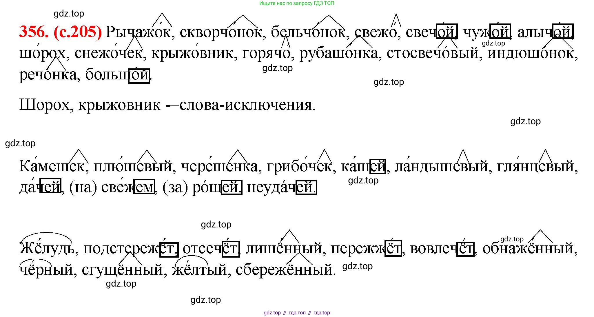 Русский язык, 7 класс Учебник, авторы: Баранов Михаил Трофимович, Ладыженская Таиса Алексеевна, Тростенцова Лидия Александровна, Ладыженская Наталия Вениаминовна, Александрова Ольга Макаровна, Дейкина Алевтина Дмитриевна, Антонова Любовь Геннадиевна, Григорян Лариса Трофимовна, Кулибаба Иван Иванович, издательство Просвещение, Москва, 2023, зелёного цвета, Часть 1, страница 205, номер 356, Решение 2 (2024-2027)