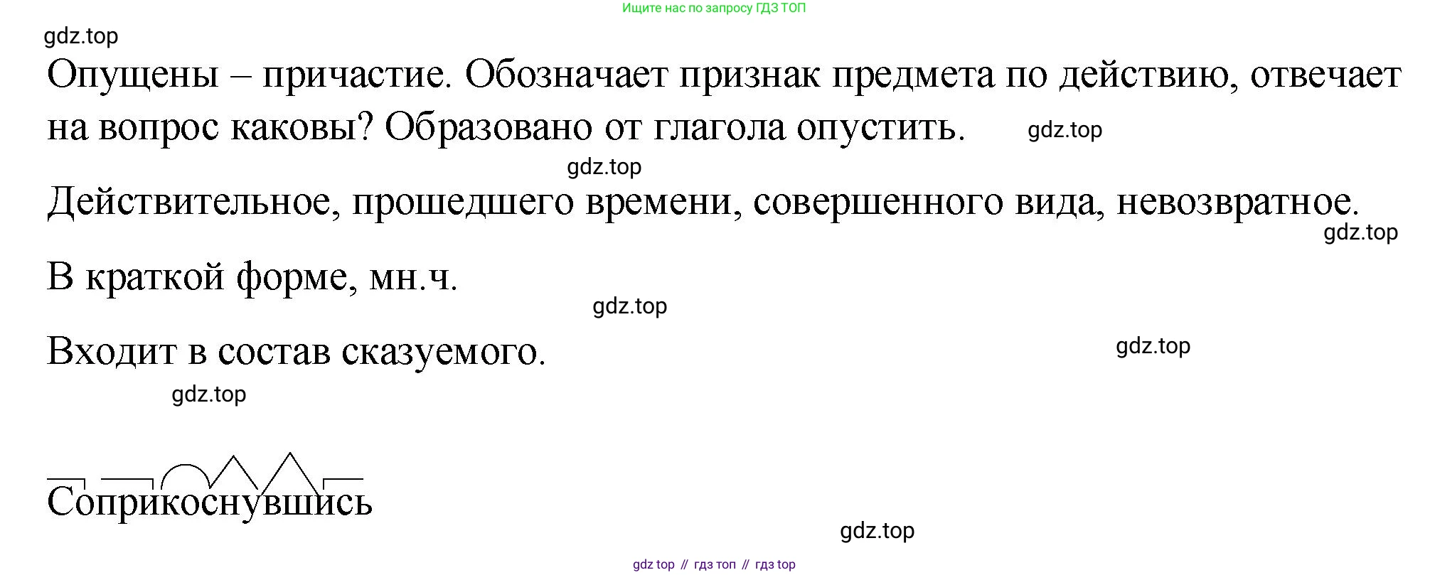 Русский язык, 7 класс Учебник, авторы: Баранов Михаил Трофимович, Ладыженская Таиса Алексеевна, Тростенцова Лидия Александровна, Ладыженская Наталия Вениаминовна, Александрова Ольга Макаровна, Дейкина Алевтина Дмитриевна, Антонова Любовь Геннадиевна, Григорян Лариса Трофимовна, Кулибаба Иван Иванович, издательство Просвещение, Москва, 2023, зелёного цвета, Часть 1, страница 218, номер 387, Решение 2 (2024-2027) (продолжение 2)