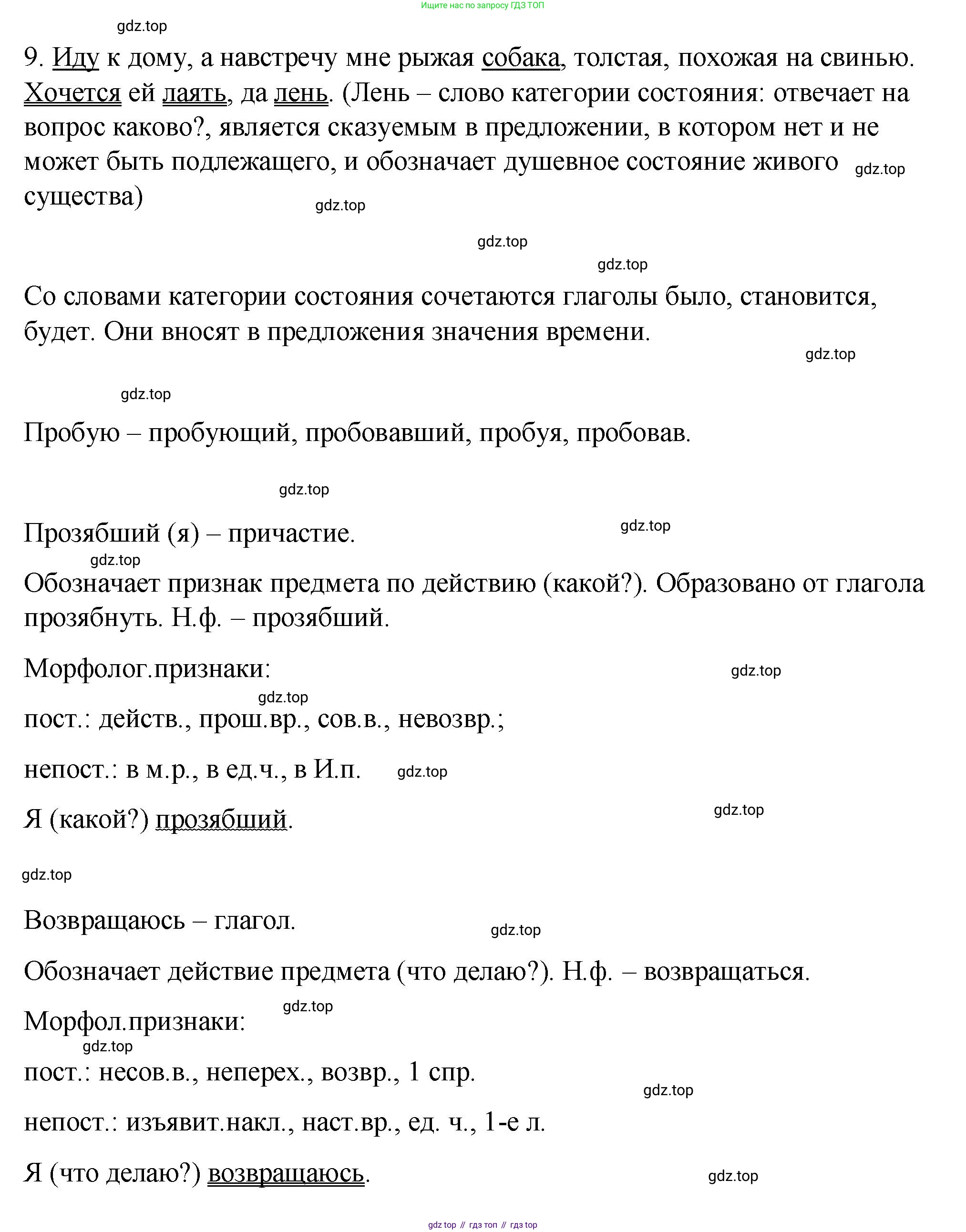 Русский язык, 7 класс Учебник, авторы: Баранов Михаил Трофимович, Ладыженская Таиса Алексеевна, Тростенцова Лидия Александровна, Ладыженская Наталия Вениаминовна, Александрова Ольга Макаровна, Дейкина Алевтина Дмитриевна, Антонова Любовь Геннадиевна, Григорян Лариса Трофимовна, Кулибаба Иван Иванович, издательство Просвещение, Москва, 2023, зелёного цвета, Часть 2, страница 7, номер 393, Решение 2 (2024-2027) (продолжение 2)