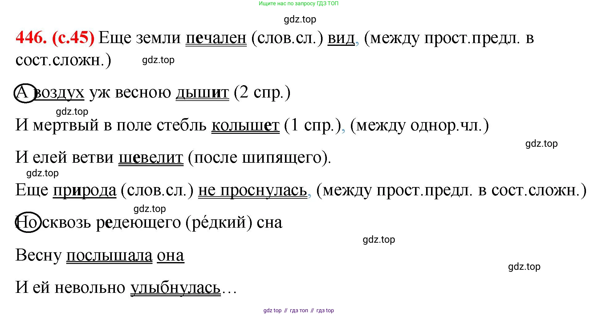 Русский язык, 7 класс Учебник, авторы: Баранов Михаил Трофимович, Ладыженская Таиса Алексеевна, Тростенцова Лидия Александровна, Ладыженская Наталия Вениаминовна, Александрова Ольга Макаровна, Дейкина Алевтина Дмитриевна, Антонова Любовь Геннадиевна, Григорян Лариса Трофимовна, Кулибаба Иван Иванович, издательство Просвещение, Москва, 2023, зелёного цвета, Часть 2, страница 45, номер 446, Решение 2 (2024-2027)