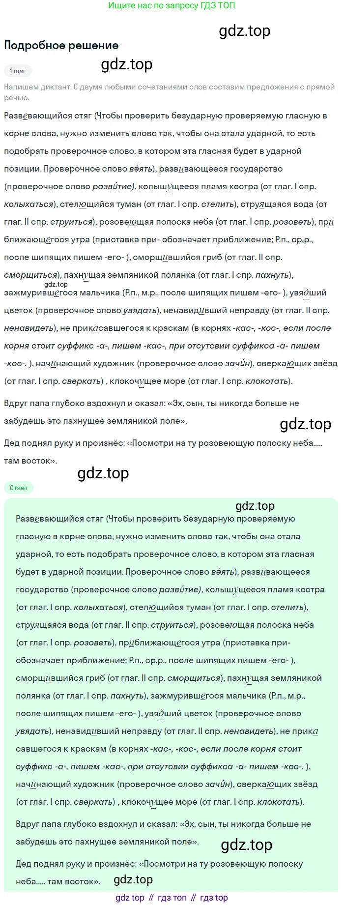 Русский язык, 7 класс Учебник, авторы: Баранов Михаил Трофимович, Ладыженская Таиса Алексеевна, Тростенцова Лидия Александровна, Ладыженская Наталия Вениаминовна, Александрова Ольга Макаровна, Дейкина Алевтина Дмитриевна, Антонова Любовь Геннадиевна, Григорян Лариса Трофимовна, Кулибаба Иван Иванович, издательство Просвещение, Москва, 2023, зелёного цвета, Часть 1, страница 118, номер 206, Решение 3 (2024-2027)