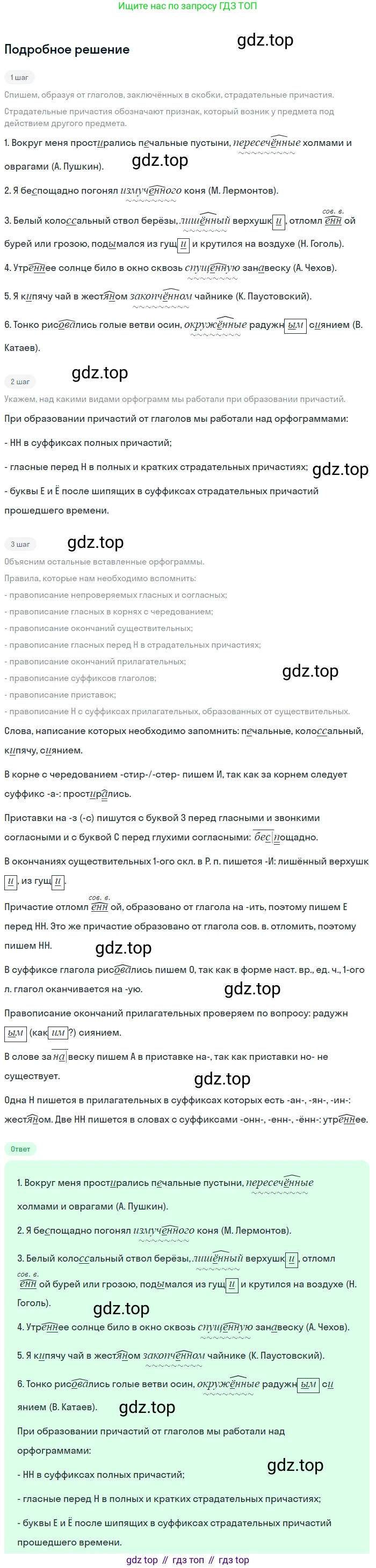 Русский язык, 7 класс Учебник, авторы: Баранов Михаил Трофимович, Ладыженская Таиса Алексеевна, Тростенцова Лидия Александровна, Ладыженская Наталия Вениаминовна, Александрова Ольга Макаровна, Дейкина Алевтина Дмитриевна, Антонова Любовь Геннадиевна, Григорян Лариса Трофимовна, Кулибаба Иван Иванович, издательство Просвещение, Москва, 2023, зелёного цвета, Часть 1, страница 145, номер 246, Решение 3 (2024-2027)