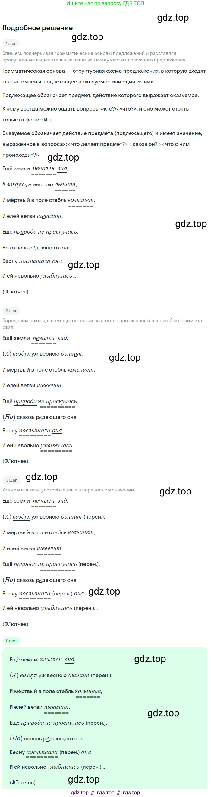 Русский язык, 7 класс Учебник, авторы: Баранов Михаил Трофимович, Ладыженская Таиса Алексеевна, Тростенцова Лидия Александровна, Ладыженская Наталия Вениаминовна, Александрова Ольга Макаровна, Дейкина Алевтина Дмитриевна, Антонова Любовь Геннадиевна, Григорян Лариса Трофимовна, Кулибаба Иван Иванович, издательство Просвещение, Москва, 2023, зелёного цвета, Часть 2, страница 45, номер 446, Решение 3 (2024-2027)