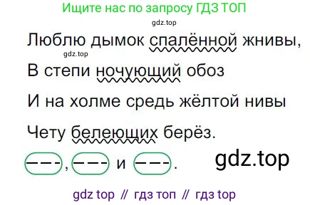 Русский язык, 7 класс Учебник, авторы: Баранов Михаил Трофимович, Ладыженская Таиса Алексеевна, Тростенцова Лидия Александровна, Ладыженская Наталия Вениаминовна, Александрова Ольга Макаровна, Дейкина Алевтина Дмитриевна, Антонова Любовь Геннадиевна, Григорян Лариса Трофимовна, Кулибаба Иван Иванович, издательство Просвещение, Москва, 2023, зелёного цвета, Часть 1, страница 91, номер 160, Решение 4 (2024-2027)