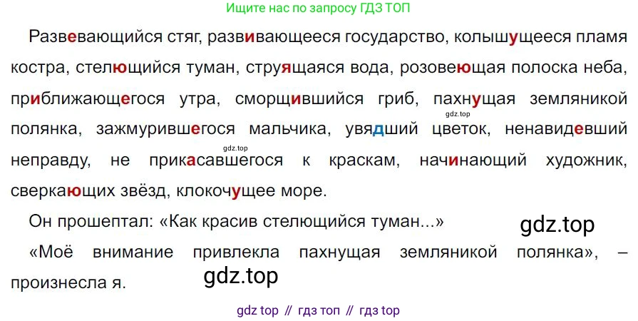 Русский язык, 7 класс Учебник, авторы: Баранов Михаил Трофимович, Ладыженская Таиса Алексеевна, Тростенцова Лидия Александровна, Ладыженская Наталия Вениаминовна, Александрова Ольга Макаровна, Дейкина Алевтина Дмитриевна, Антонова Любовь Геннадиевна, Григорян Лариса Трофимовна, Кулибаба Иван Иванович, издательство Просвещение, Москва, 2023, зелёного цвета, Часть 1, страница 118, номер 206, Решение 4 (2024-2027)