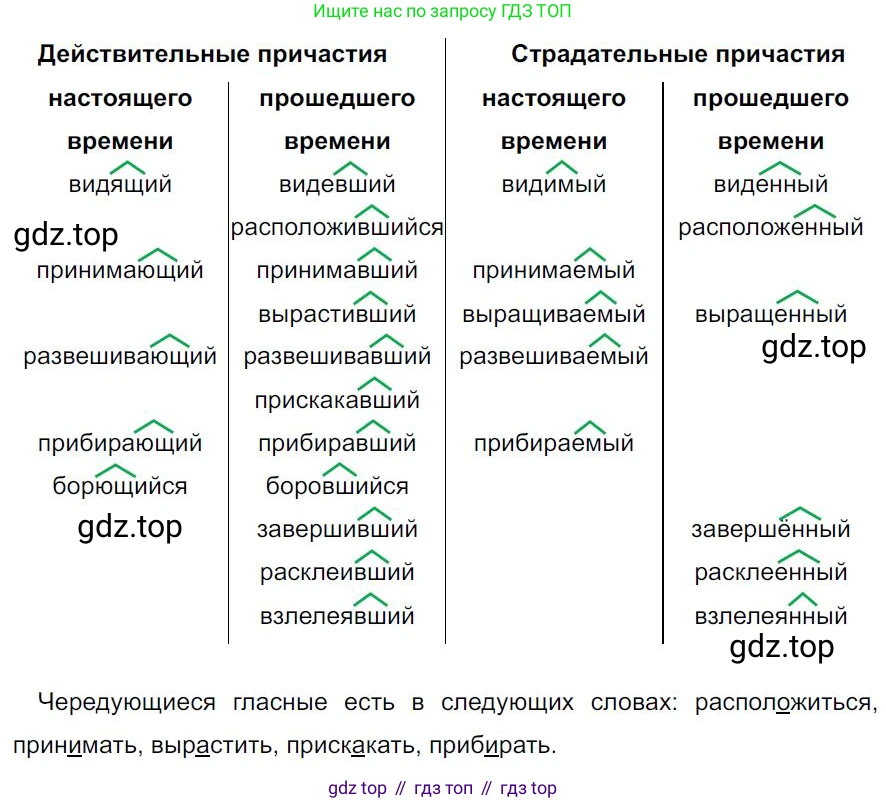 Русский язык, 7 класс Учебник, авторы: Баранов Михаил Трофимович, Ладыженская Таиса Алексеевна, Тростенцова Лидия Александровна, Ладыженская Наталия Вениаминовна, Александрова Ольга Макаровна, Дейкина Алевтина Дмитриевна, Антонова Любовь Геннадиевна, Григорян Лариса Трофимовна, Кулибаба Иван Иванович, издательство Просвещение, Москва, 2023, зелёного цвета, Часть 1, страница 148, номер 255, Решение 4 (2024-2027)