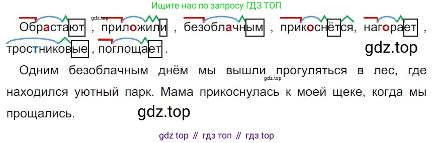 Русский язык, 7 класс Учебник, авторы: Баранов Михаил Трофимович, Ладыженская Таиса Алексеевна, Тростенцова Лидия Александровна, Ладыженская Наталия Вениаминовна, Александрова Ольга Макаровна, Дейкина Алевтина Дмитриевна, Антонова Любовь Геннадиевна, Григорян Лариса Трофимовна, Кулибаба Иван Иванович, издательство Просвещение, Москва, 2023, зелёного цвета, Часть 1, страница 22, номер 34, Решение 4 (2024-2027)