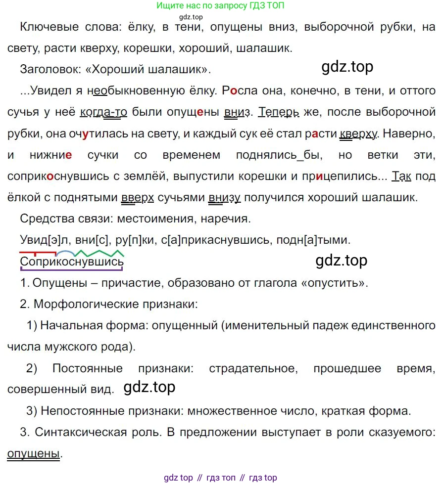 Русский язык, 7 класс Учебник, авторы: Баранов Михаил Трофимович, Ладыженская Таиса Алексеевна, Тростенцова Лидия Александровна, Ладыженская Наталия Вениаминовна, Александрова Ольга Макаровна, Дейкина Алевтина Дмитриевна, Антонова Любовь Геннадиевна, Григорян Лариса Трофимовна, Кулибаба Иван Иванович, издательство Просвещение, Москва, 2023, зелёного цвета, Часть 1, страница 218, номер 387, Решение 4 (2024-2027)