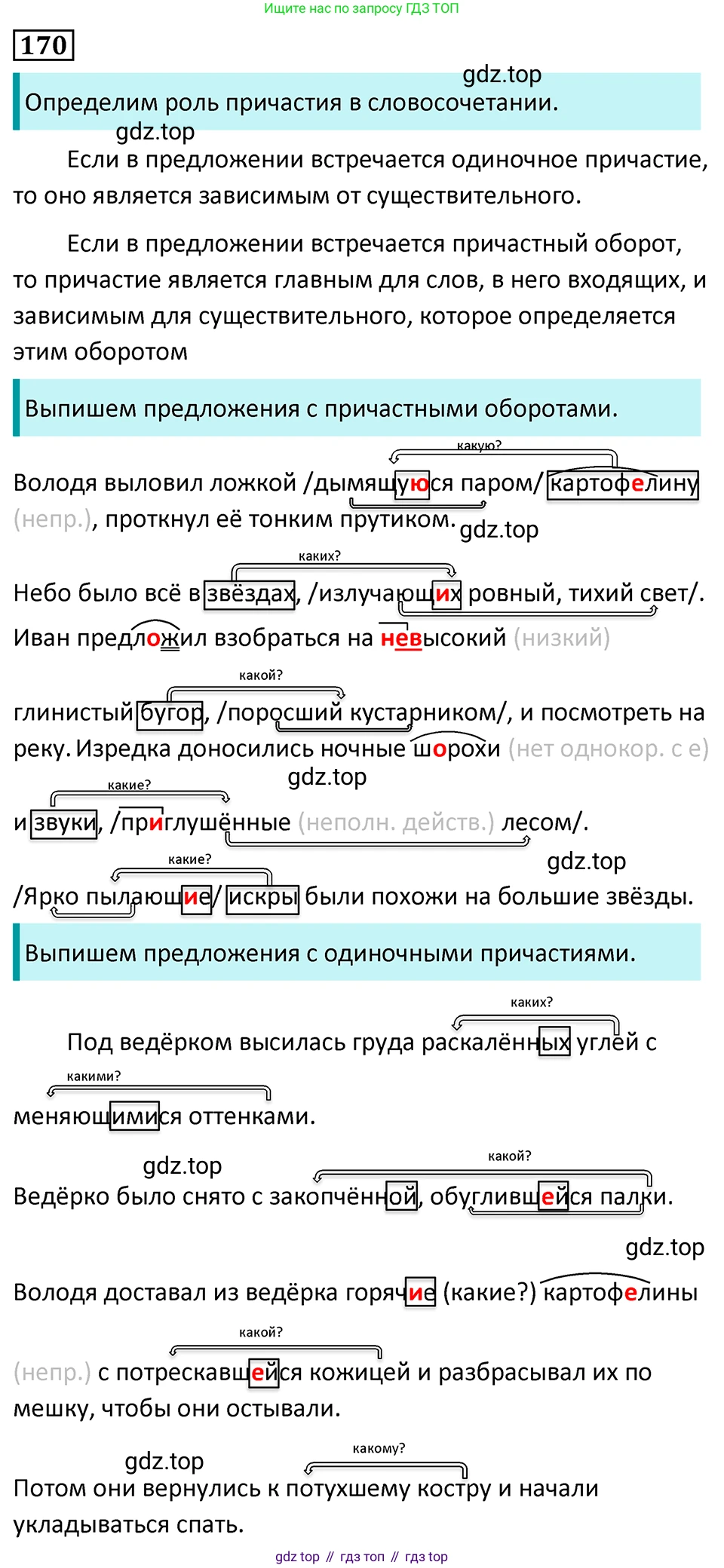 Русский язык, 7 класс Учебник, авторы: Баранов Михаил Трофимович, Ладыженская Таиса Алексеевна, Тростенцова Лидия Александровна, Ладыженская Наталия Вениаминовна, Александрова Ольга Макаровна, Дейкина Алевтина Дмитриевна, Антонова Любовь Геннадиевна, Григорян Лариса Трофимовна, Кулибаба Иван Иванович, издательство Просвещение, Москва, 2023, зелёного цвета, Часть 1, страница 96, номер 170, Решение 5 (2024-2027)